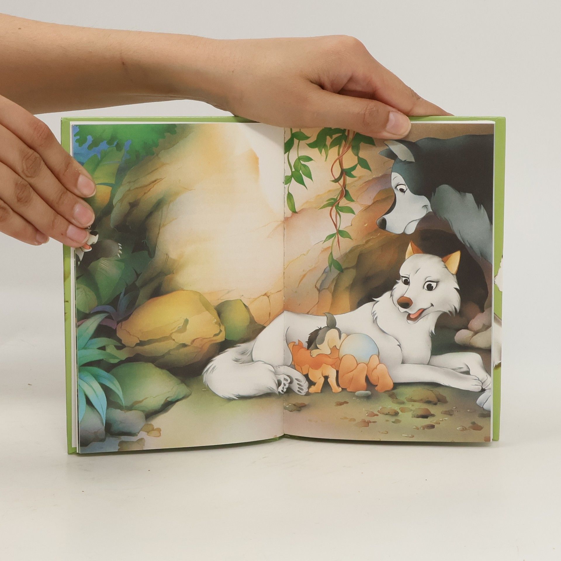 kolektiv Dsungelbuch