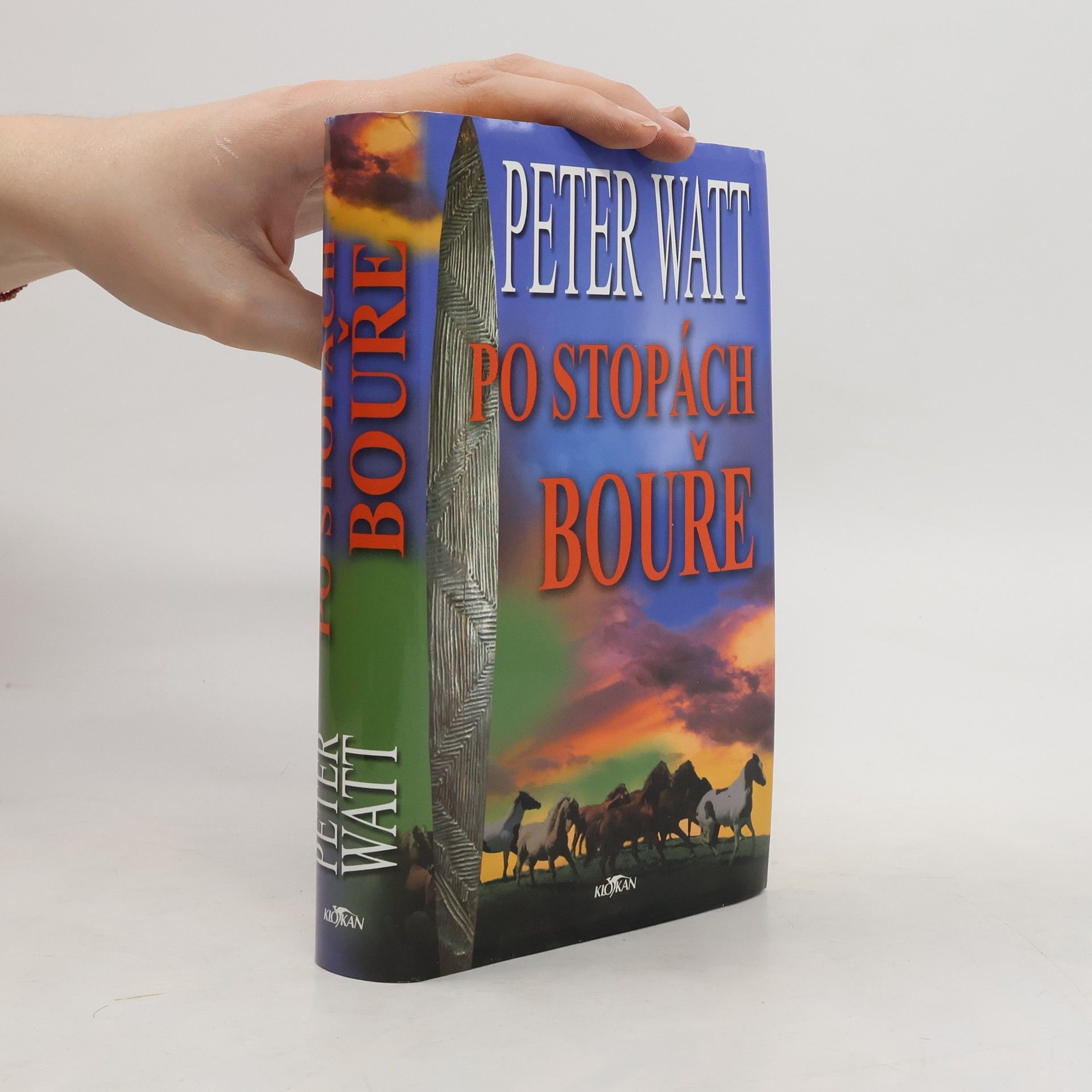 Peter Watt Po stopách bouře