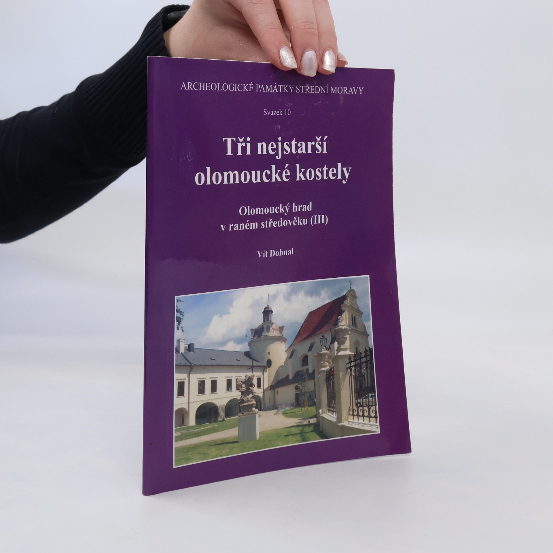 Vít Dohnal Tři nejstarší olomoucké kostely : Olomoucký hrad v raném středověku (III)