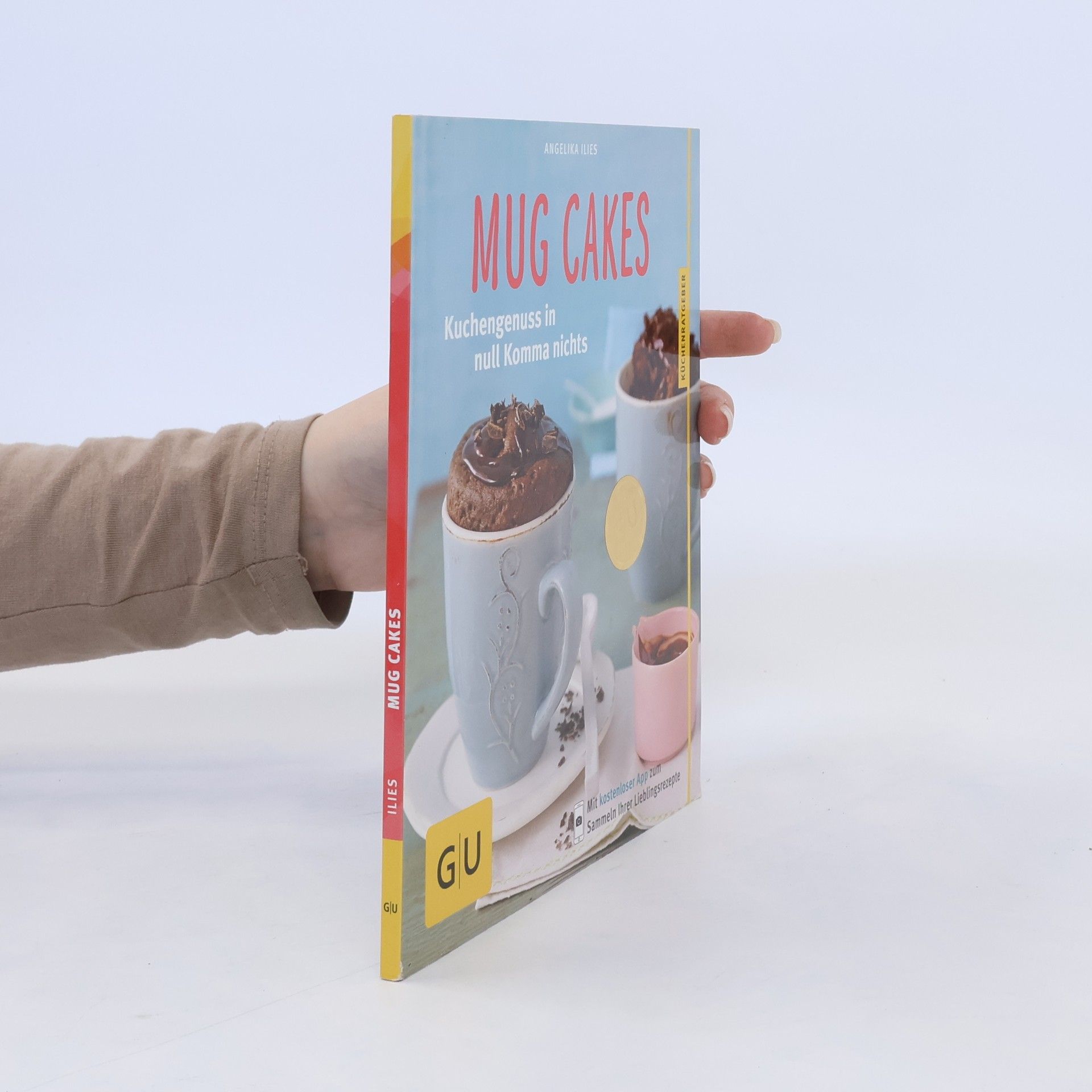 Angelika Ilies Mug Cakes