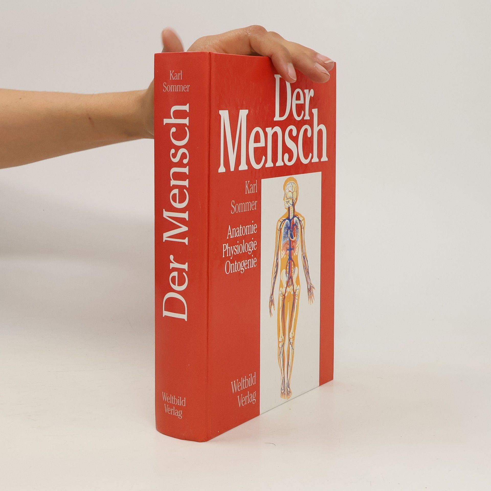Karl Sommer Der Mensch