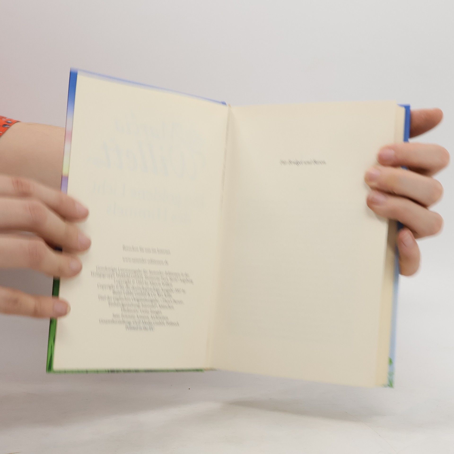 Marcia Willett Das goldene Licht des Himmels