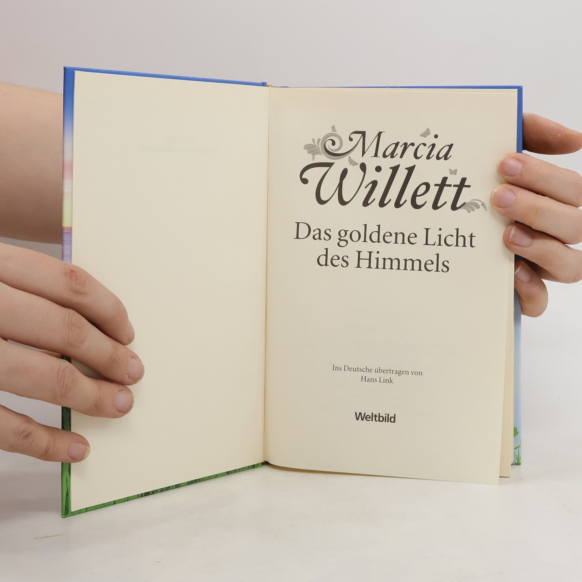 Marcia Willett Das goldene Licht des Himmels