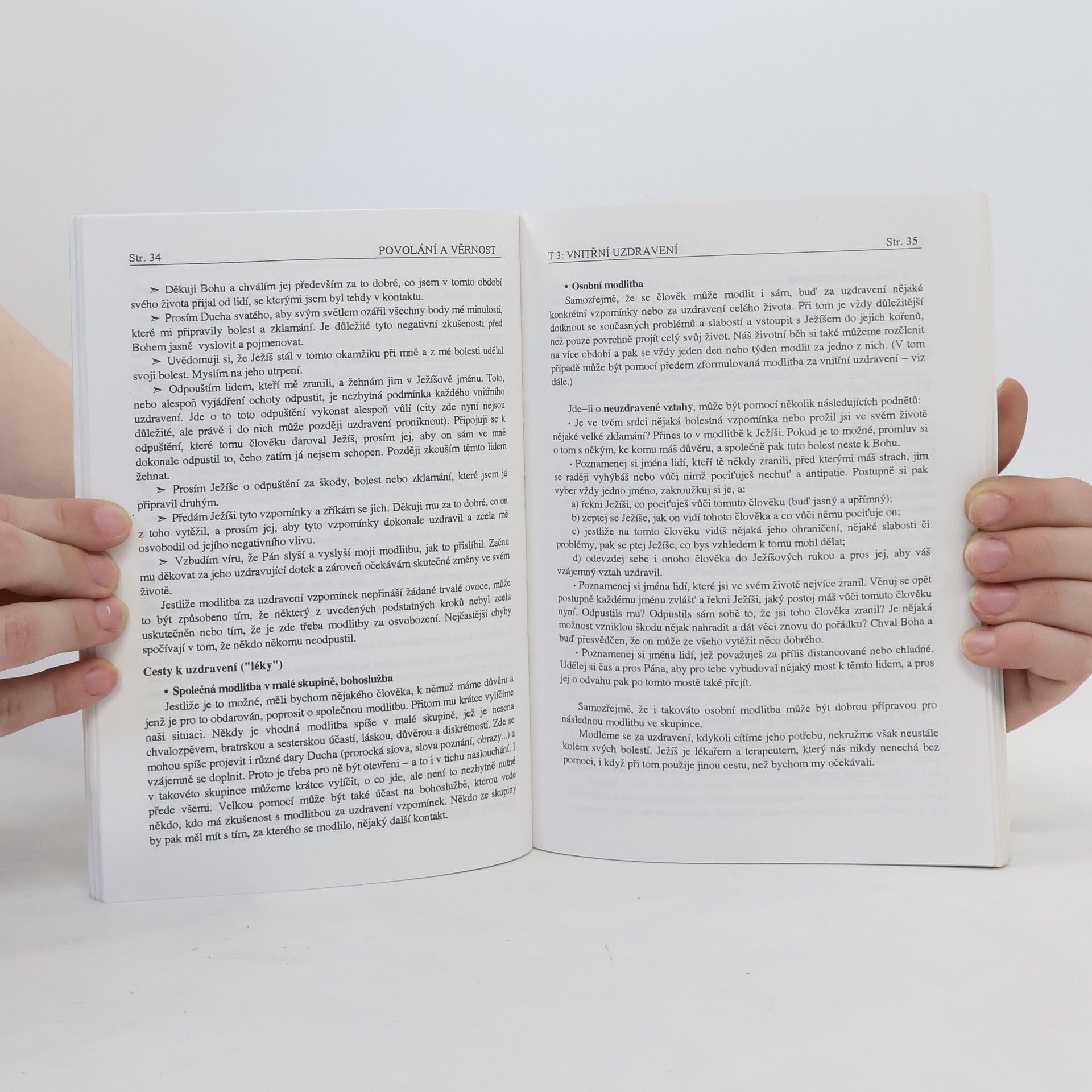 Kolektiv autorů Povolání a věrnost. Sborník textů