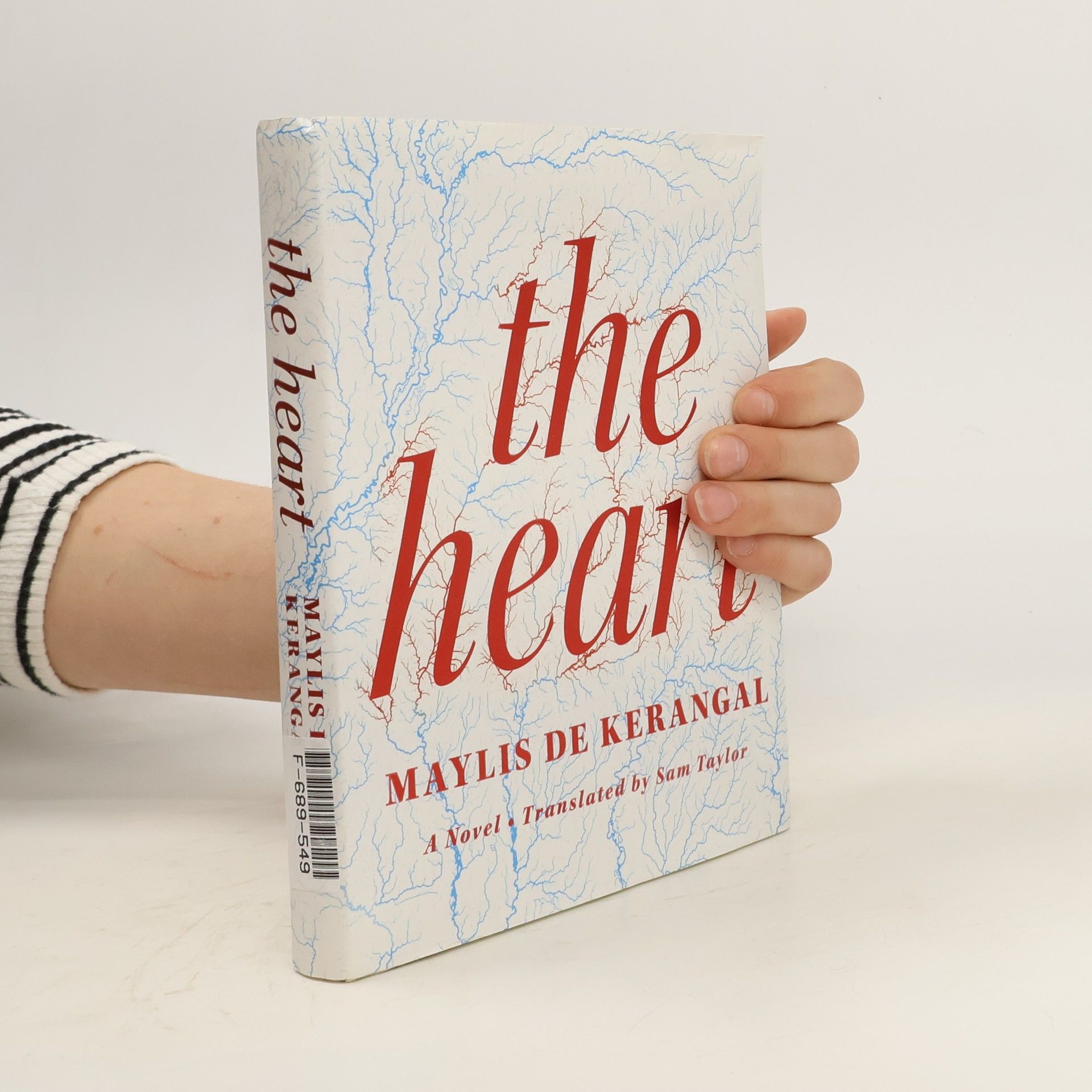 Maylis de Kerangal The Heart