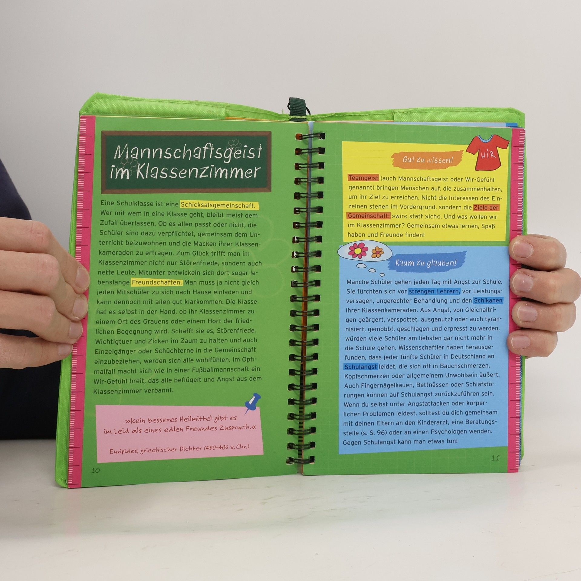 Anita van Saan Survival-Handbuch Schule