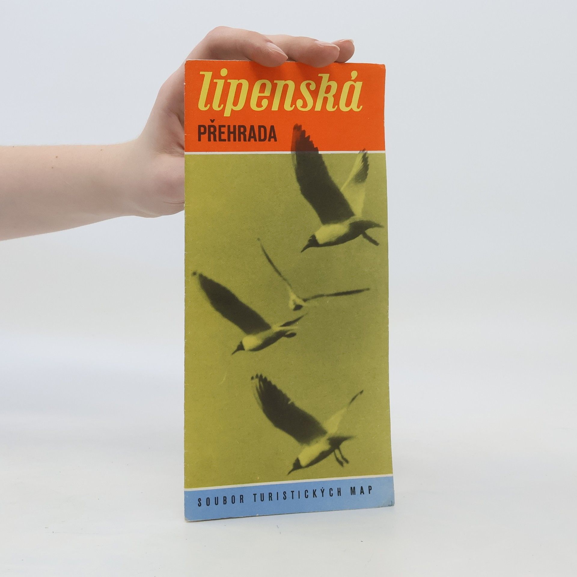 Kolektiv autorů Lipenská přehrada