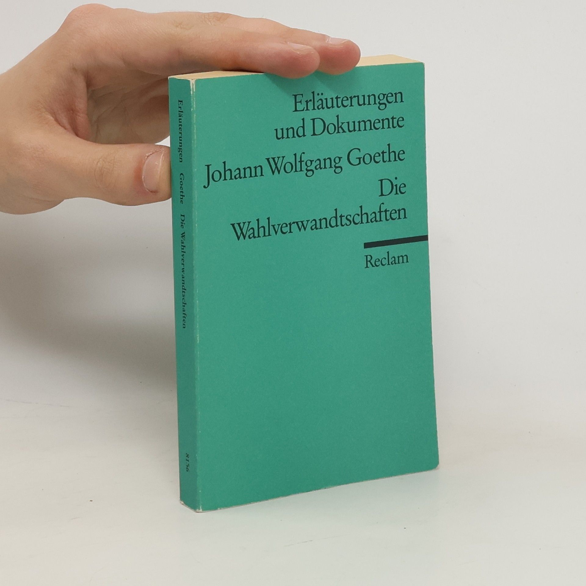 Ursula Ritzenhoff Johann Wolfgang Goethe, Die Wahlverwandtschaften