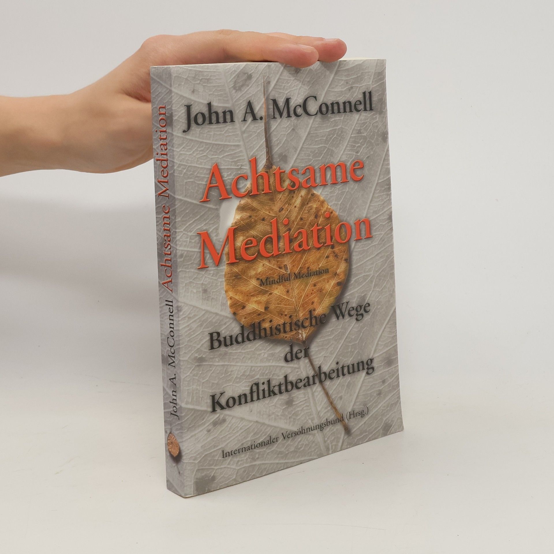 John McConnell Achtsame Mediation