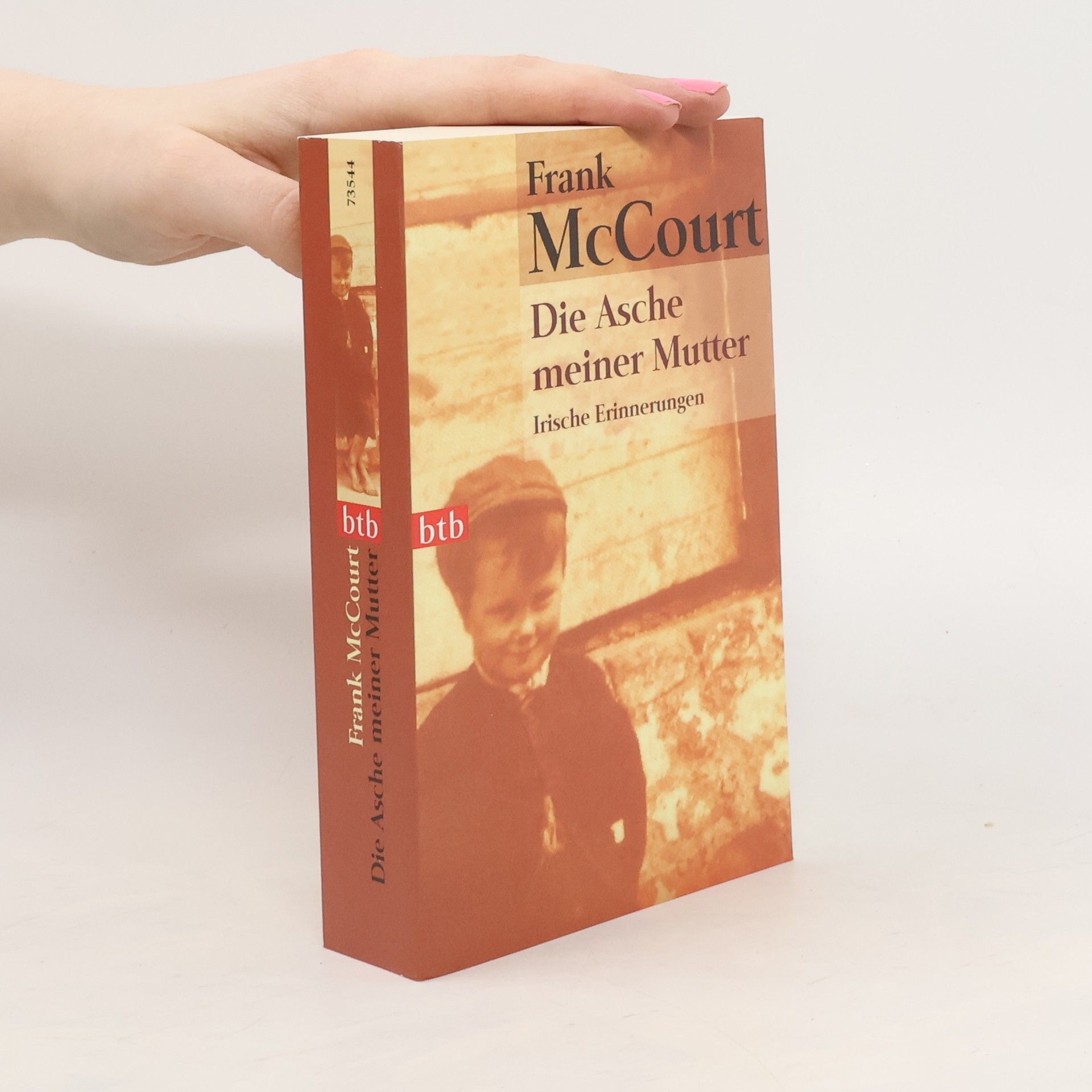 Frank McCourt Die Asche meiner Mutter