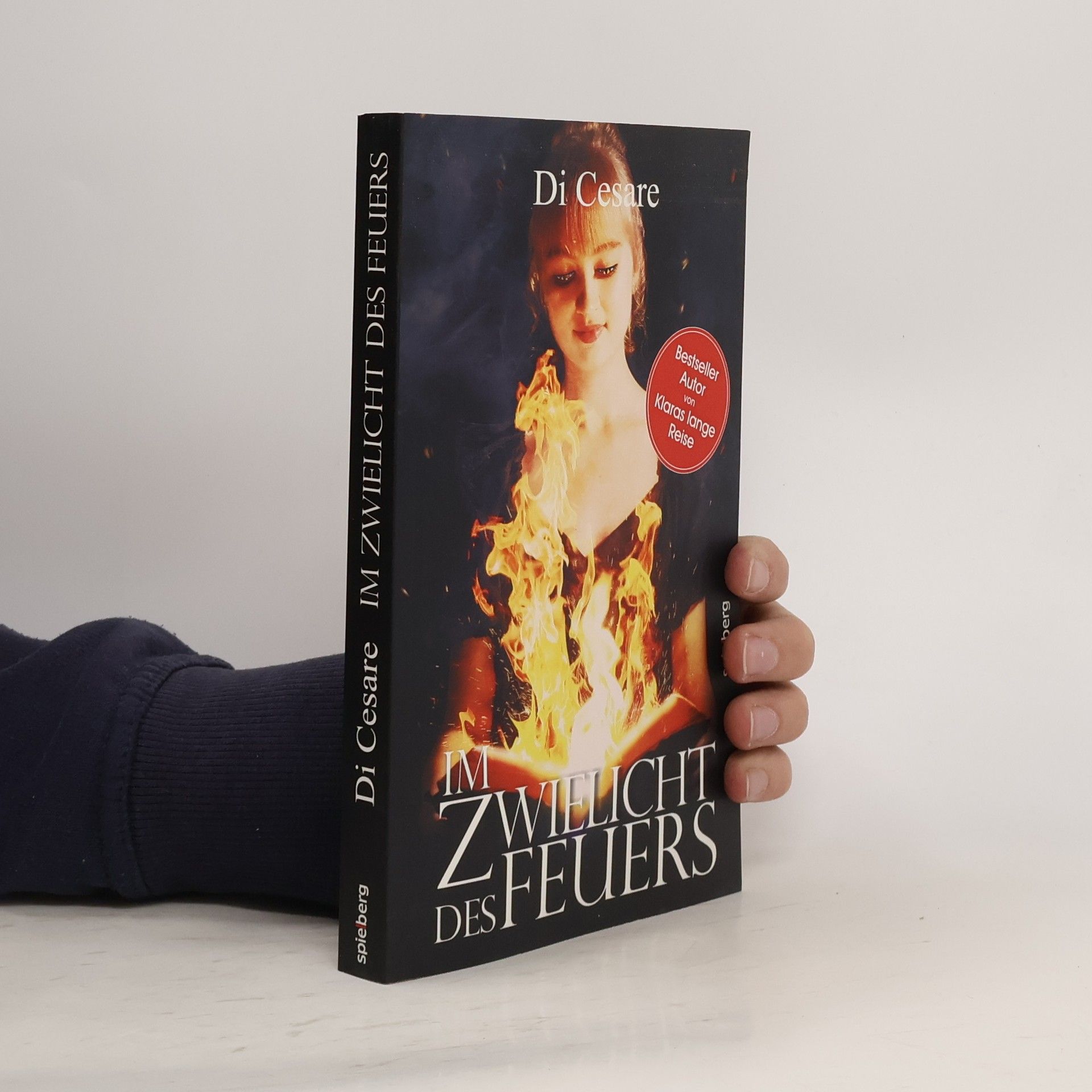 Reinhold di Cesare Im Zwielicht des Feuers
