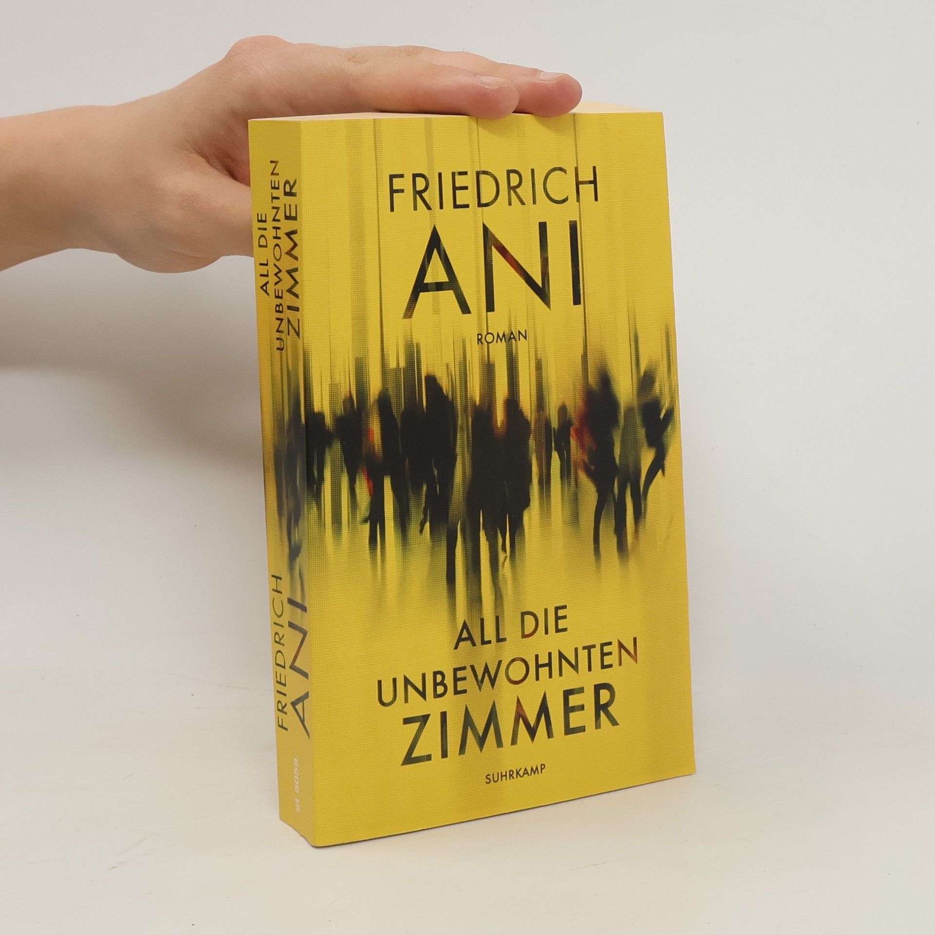 Friedrich Ani All die unbewohnten Zimmer