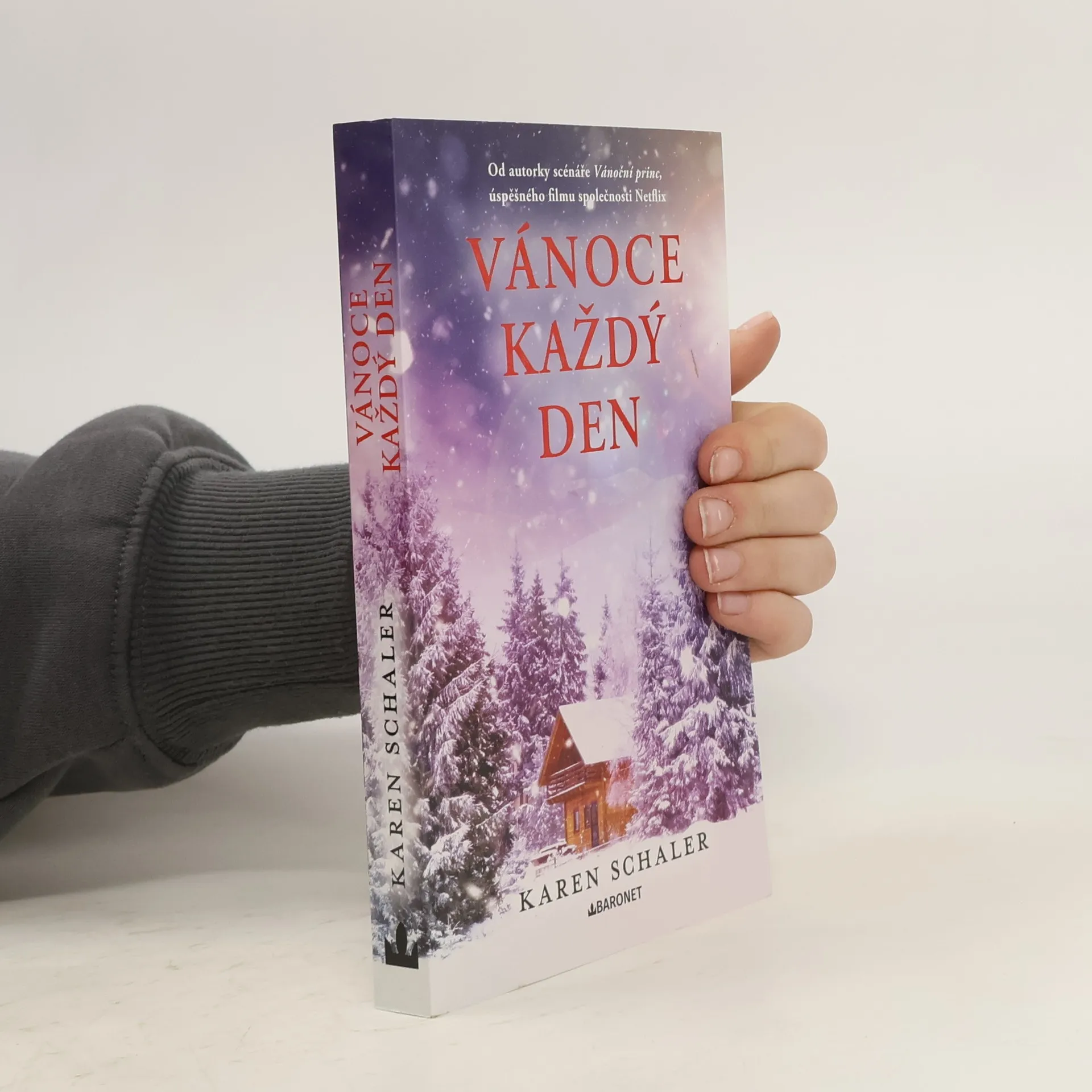 Vánoce každý den | Kniha | mäkká | Karen Schaler | CS