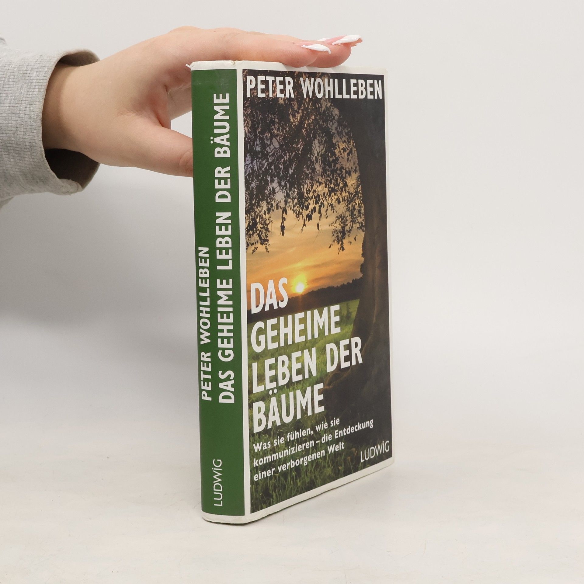 Peter Wohlleben Das geheime Leben der Bäume