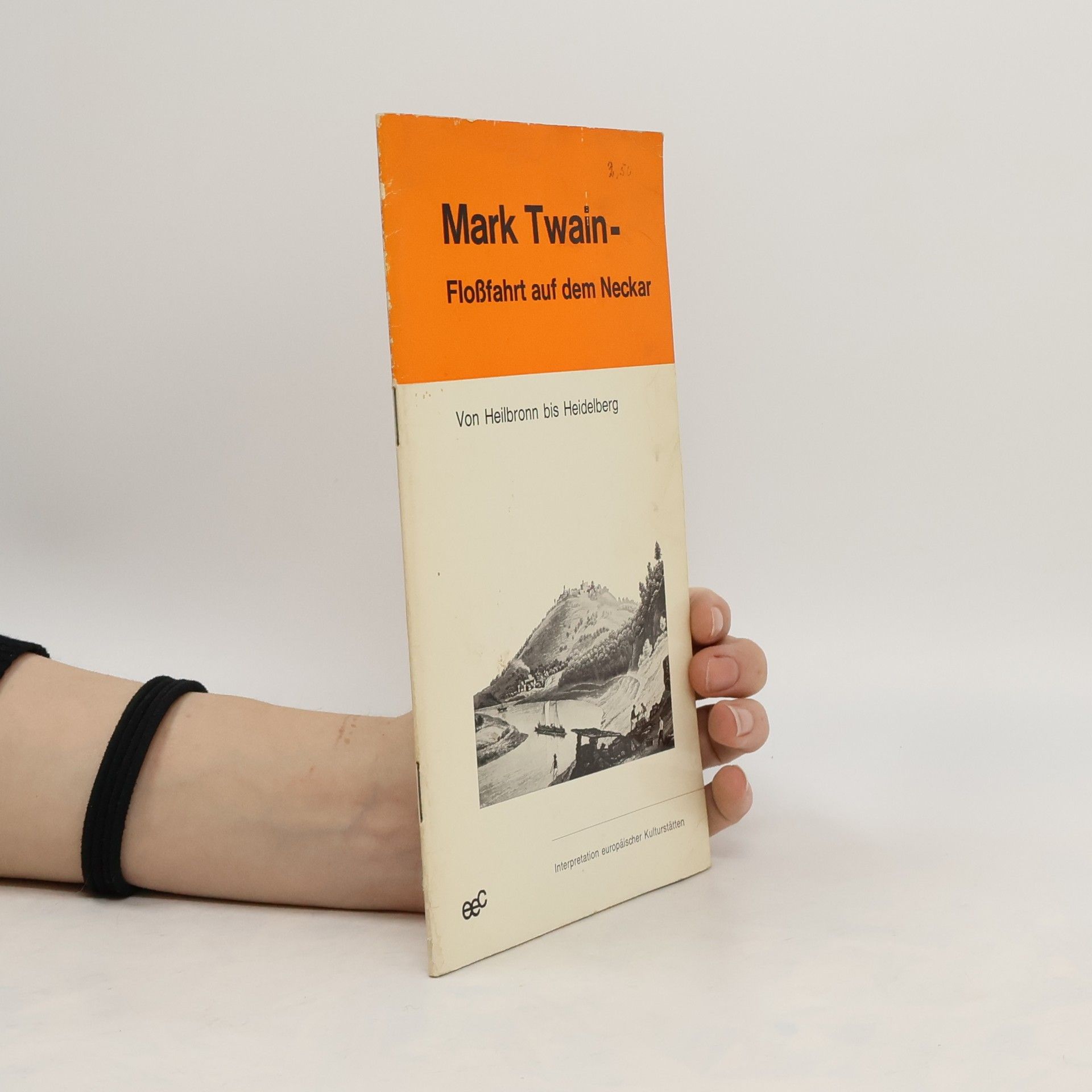 Mark Twain Flosshart auf dem Neckar