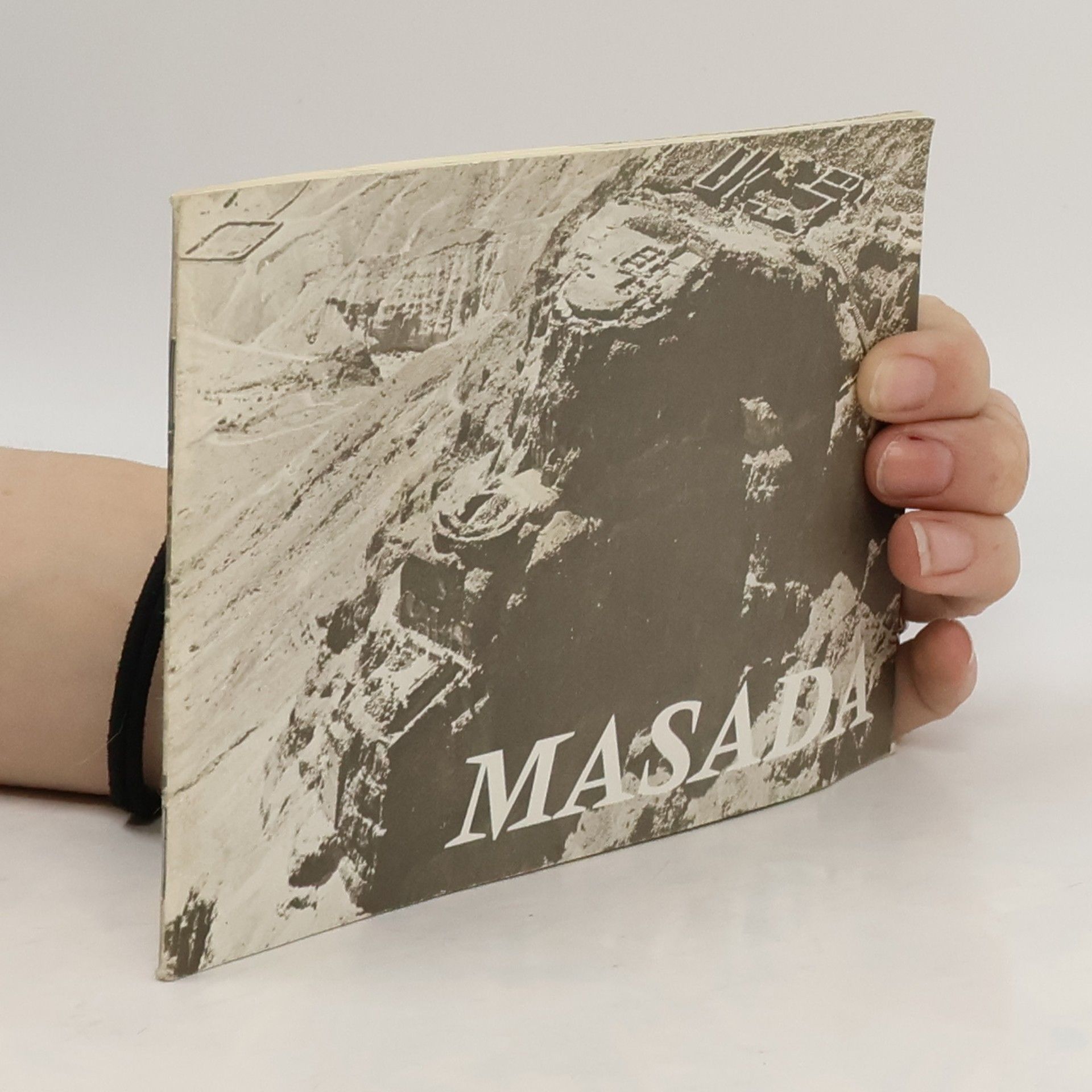 Ze'ev Meshel Masada