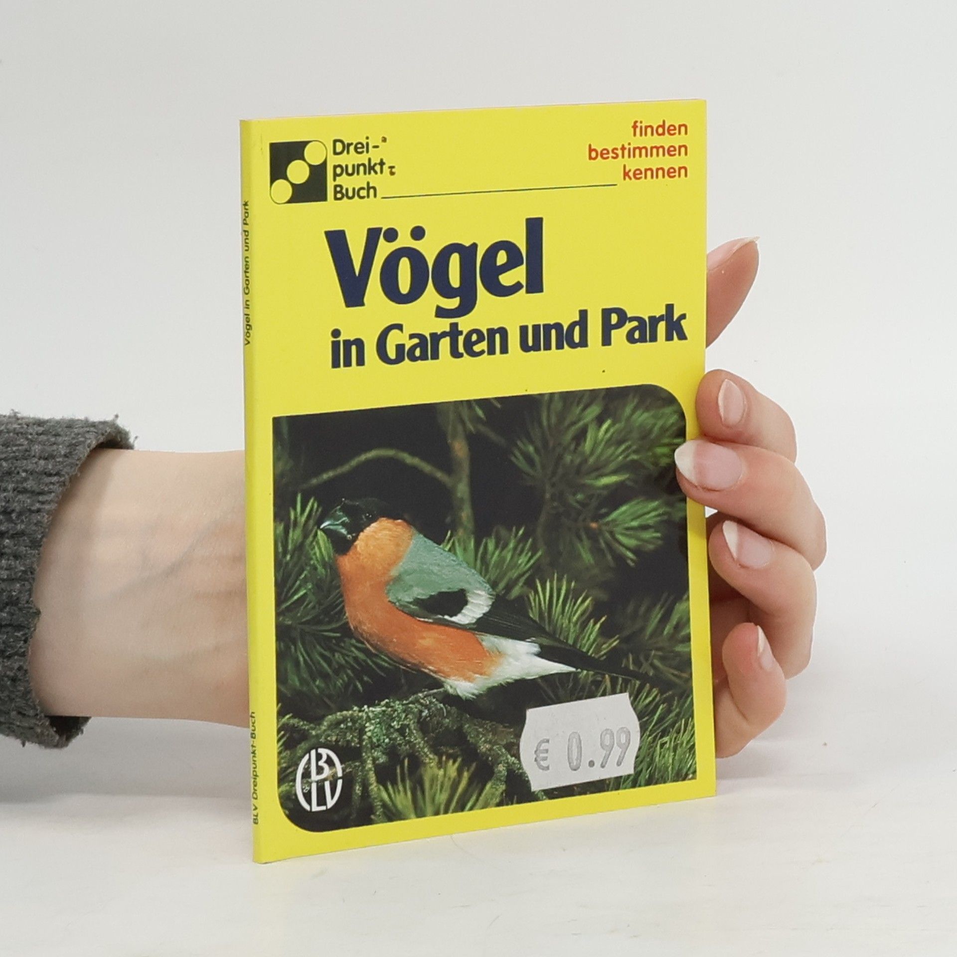 Autorenkollektiv Vögel in Garten und Park