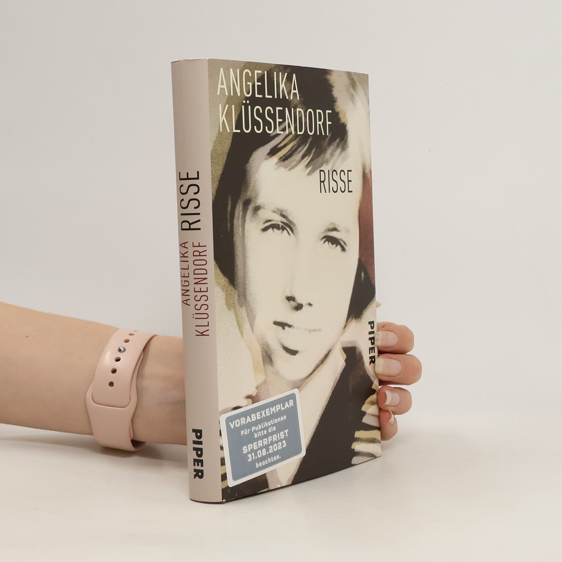 Angelika Klüssendorf Risse