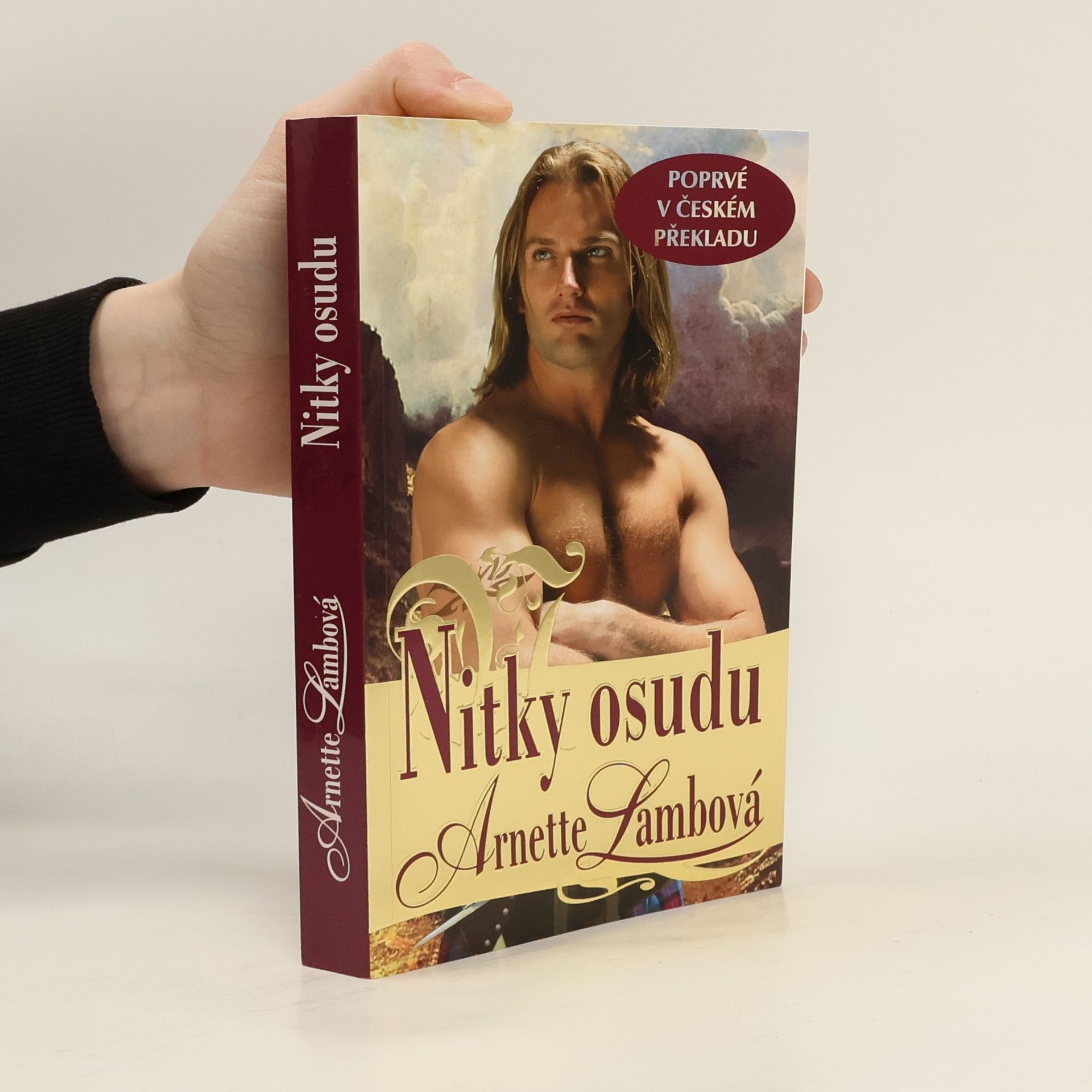 Arnette Lamb Nitky osudu