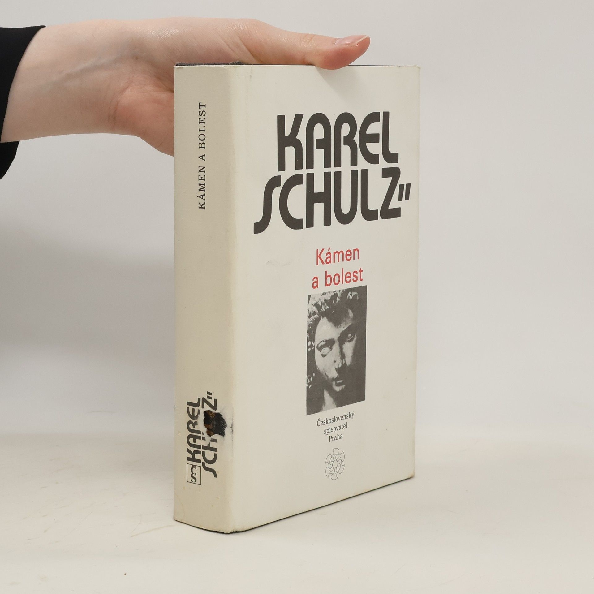 Karel Schulz Kámen a bolest