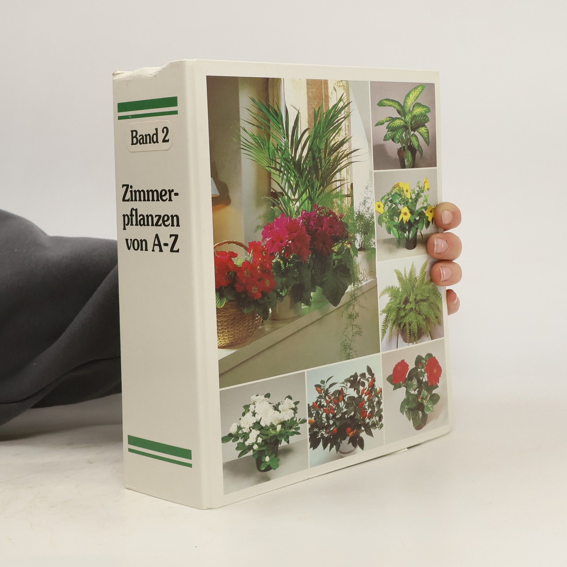 Autorenkollektiv Zimmerpflanzen von A-Z. Band 2