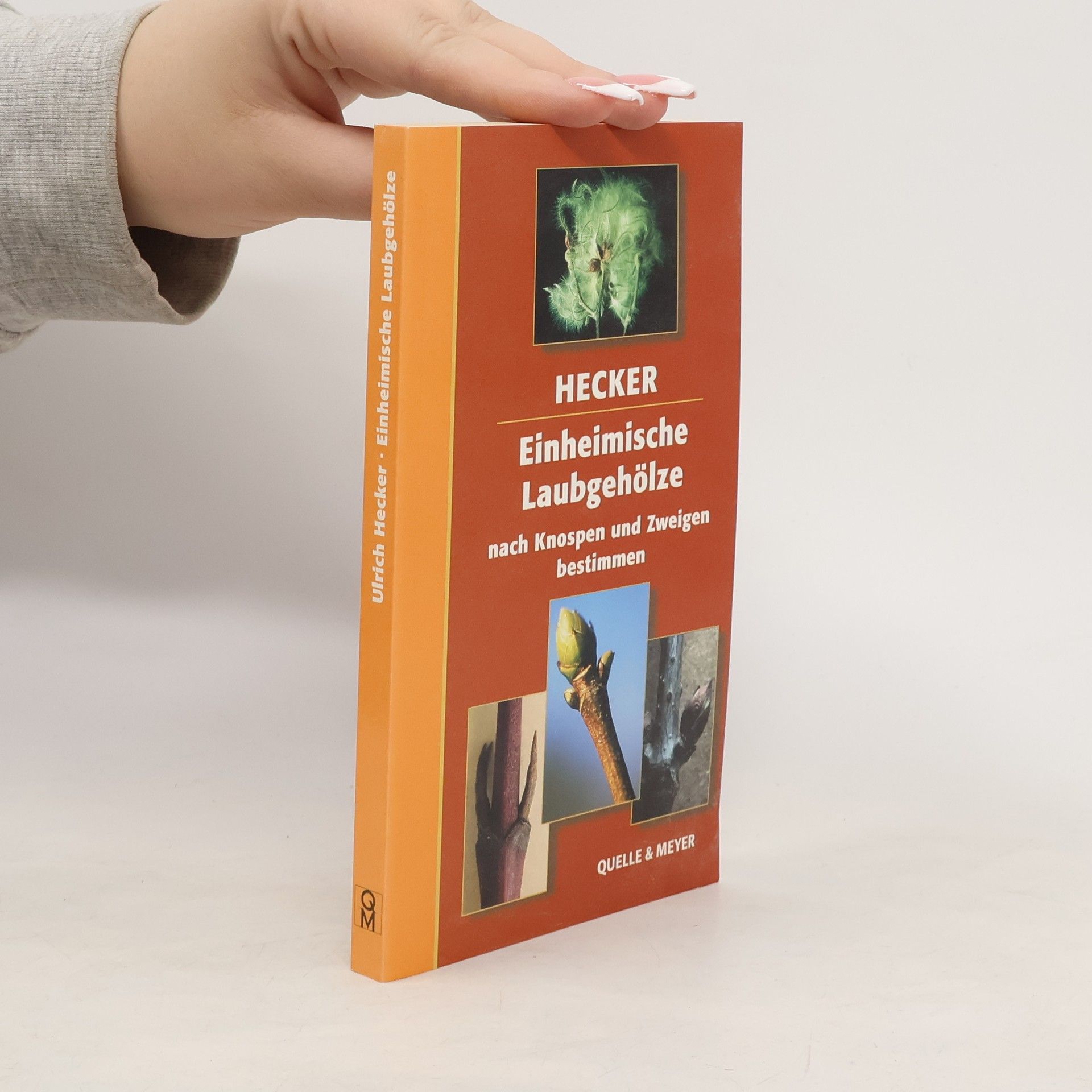 Hans-Ulrich Hecker Einheimische Laubgehölze nach Knospen und Zweigen bestimmen