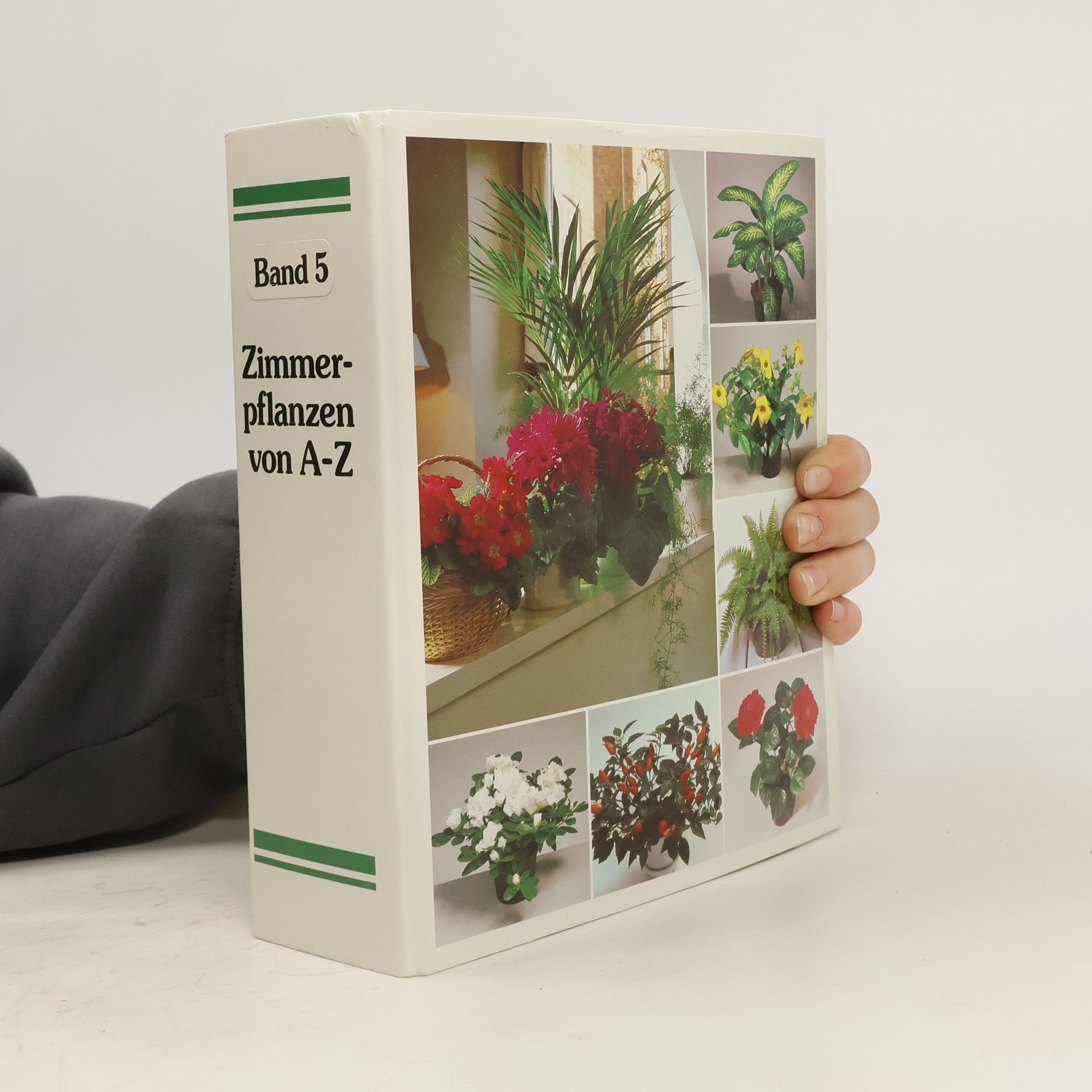 Autorenkollektiv Zimmerpflanzen von A-Z
