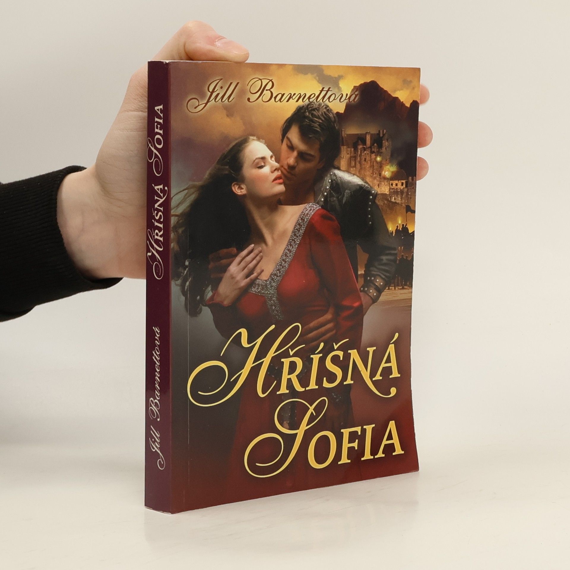 Jill Barnett Hříšná Sofia