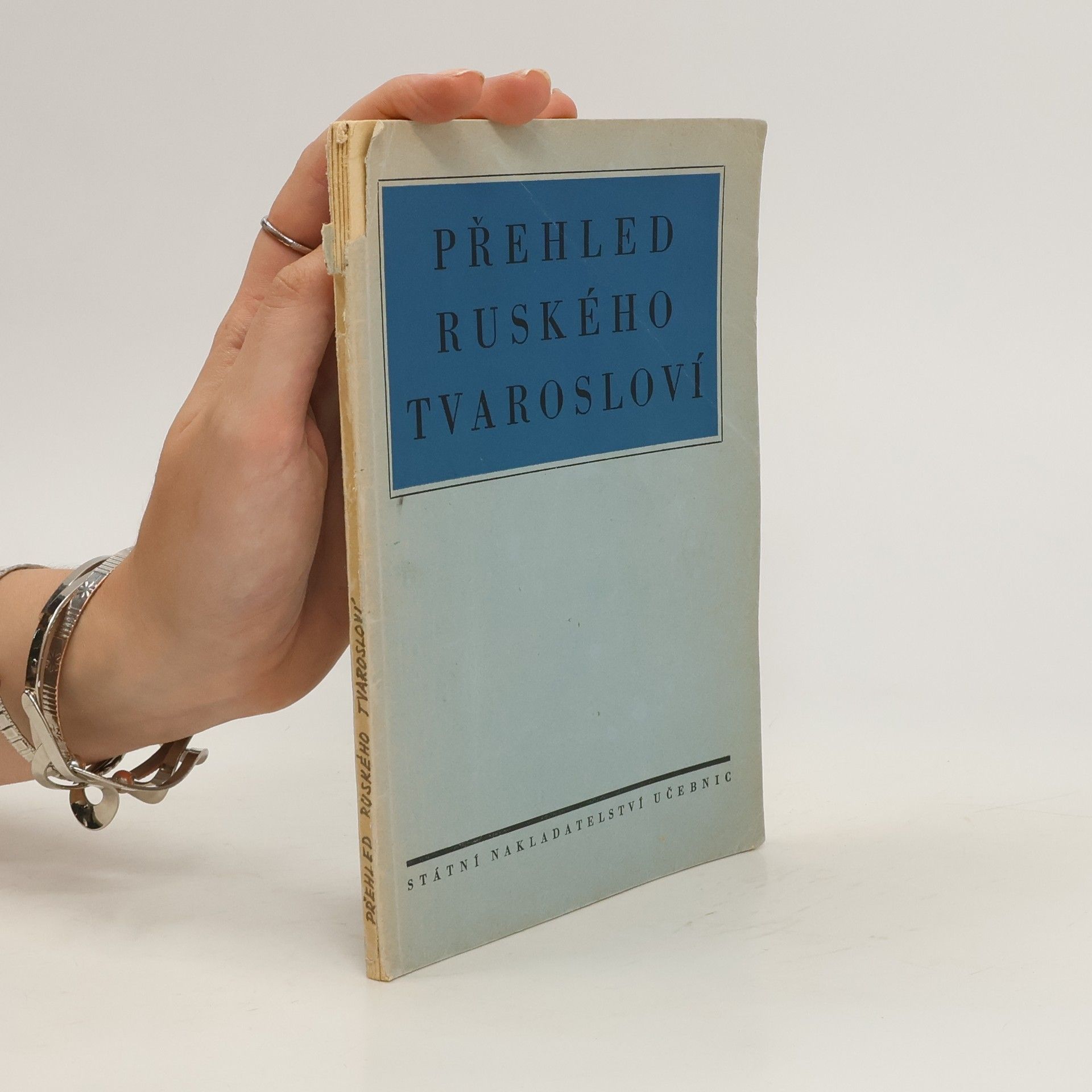 Autorenkollektiv Přehled ruského tvarosloví