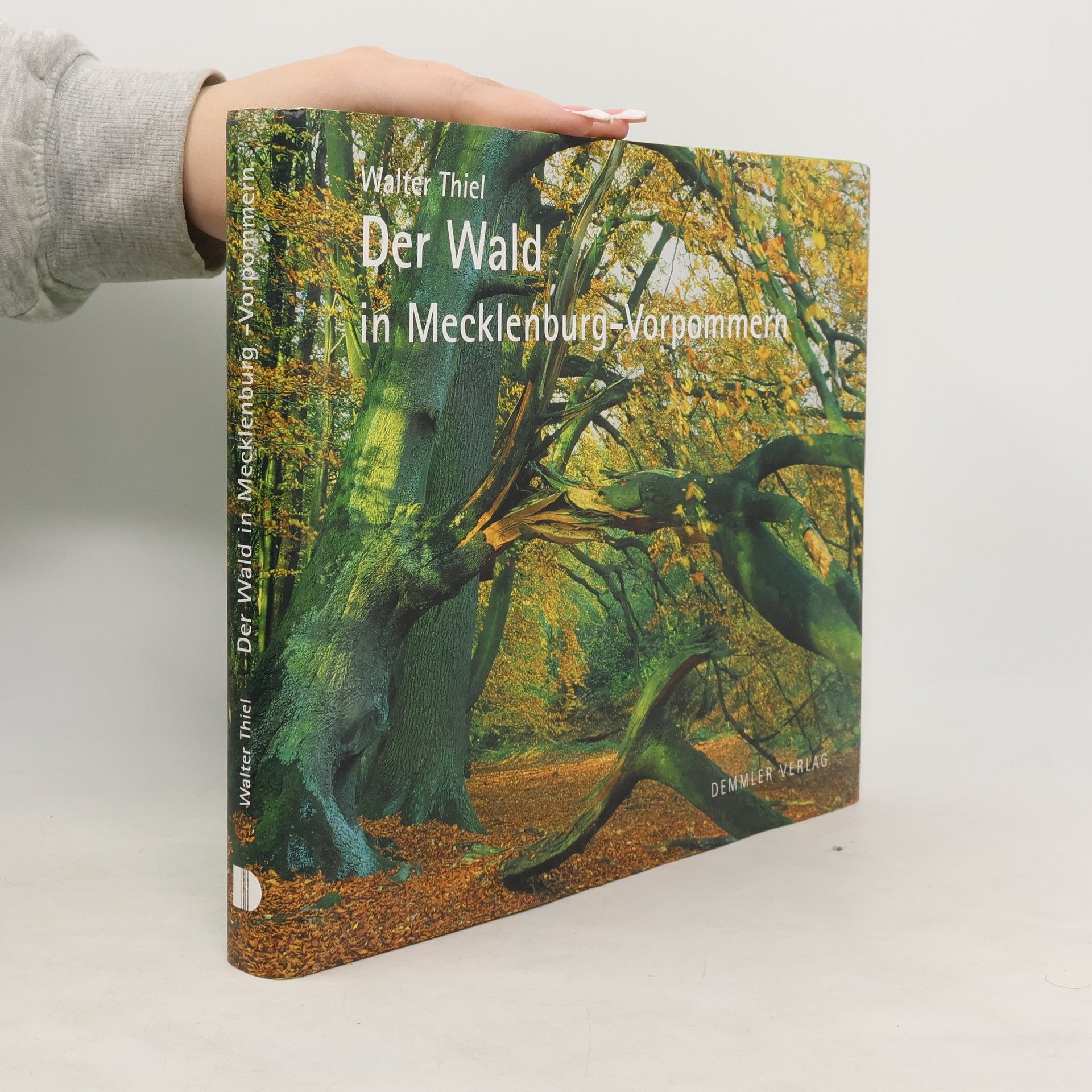 Walter Thiel Der Wald in Mecklenburg-Vorpommern