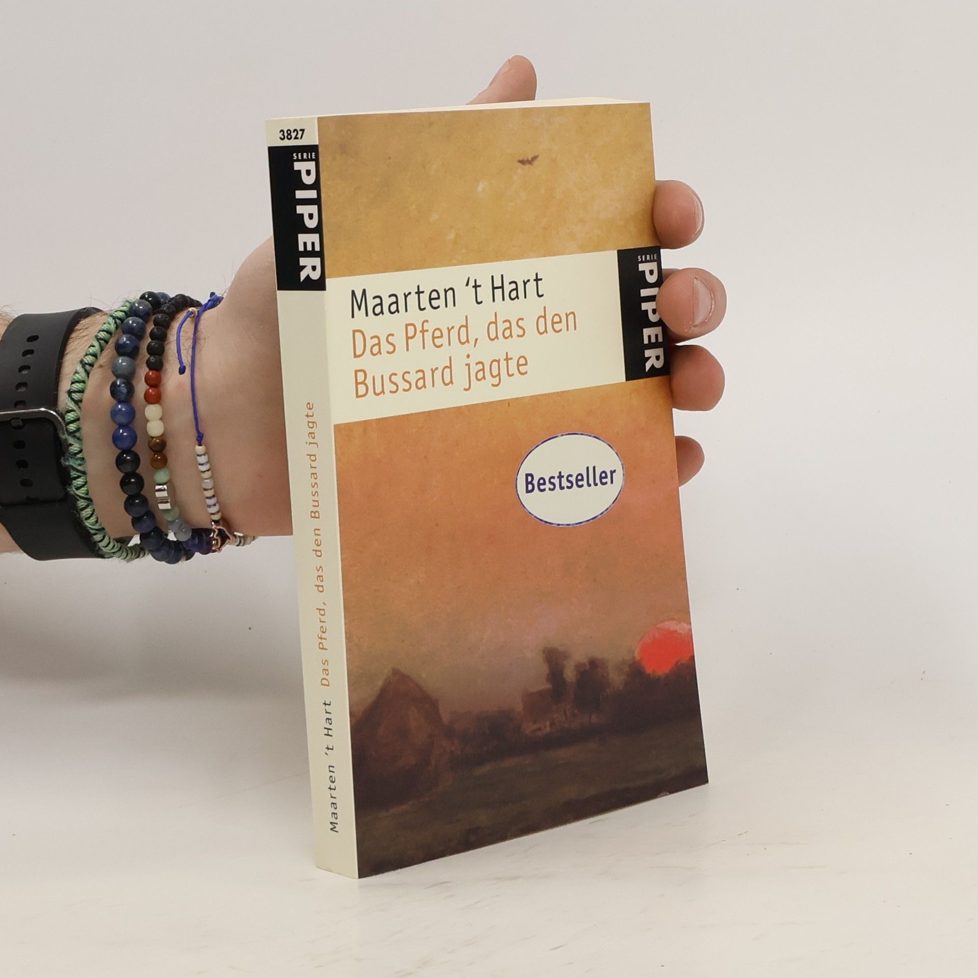 Maarten t. Hart Das Pferd, das den Bussard jagte