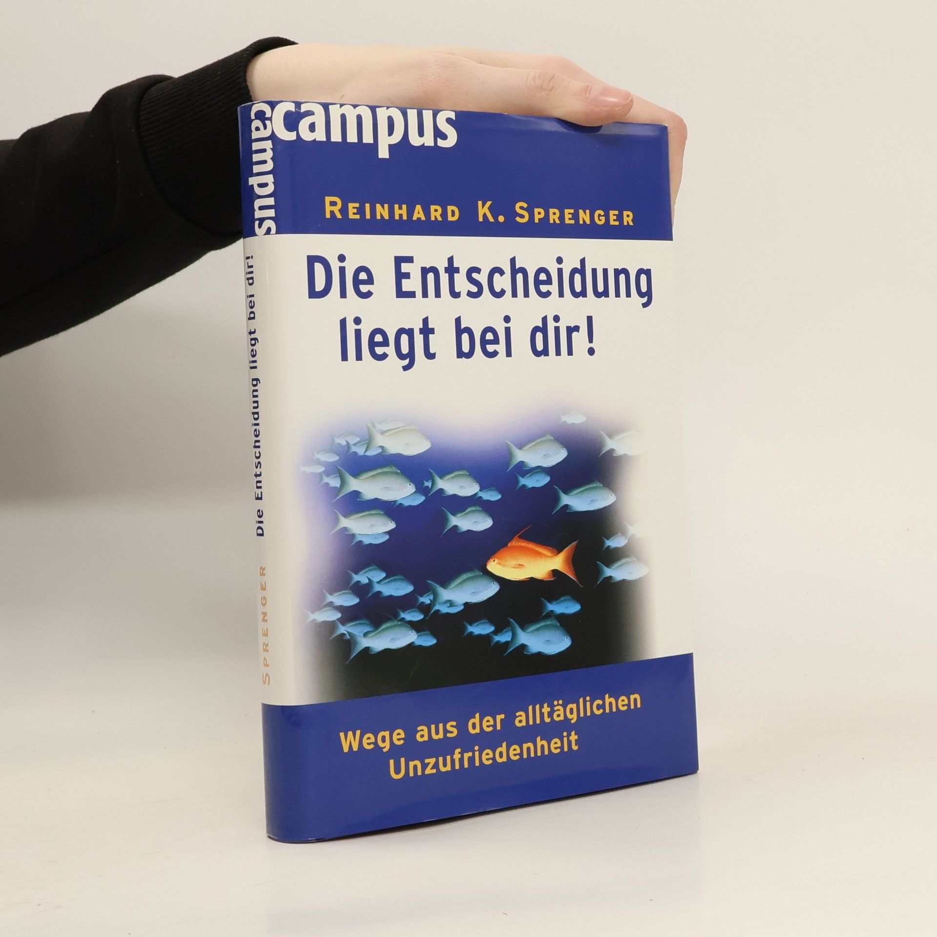 Reinhard Sprenger Die Entscheidung liegt bei dir!
