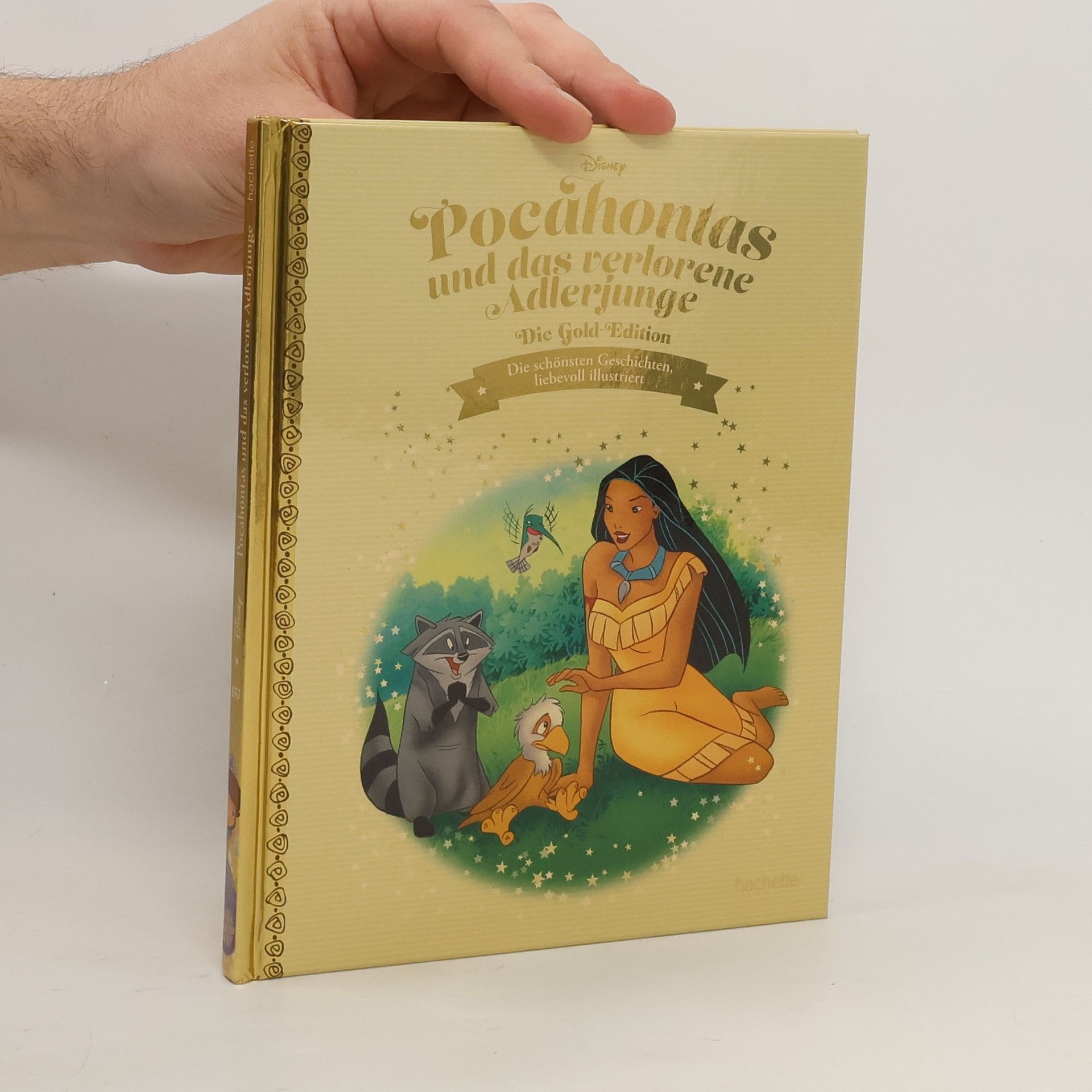 Autorenkollektiv Pocahontas und das verlorene Adlerjunge