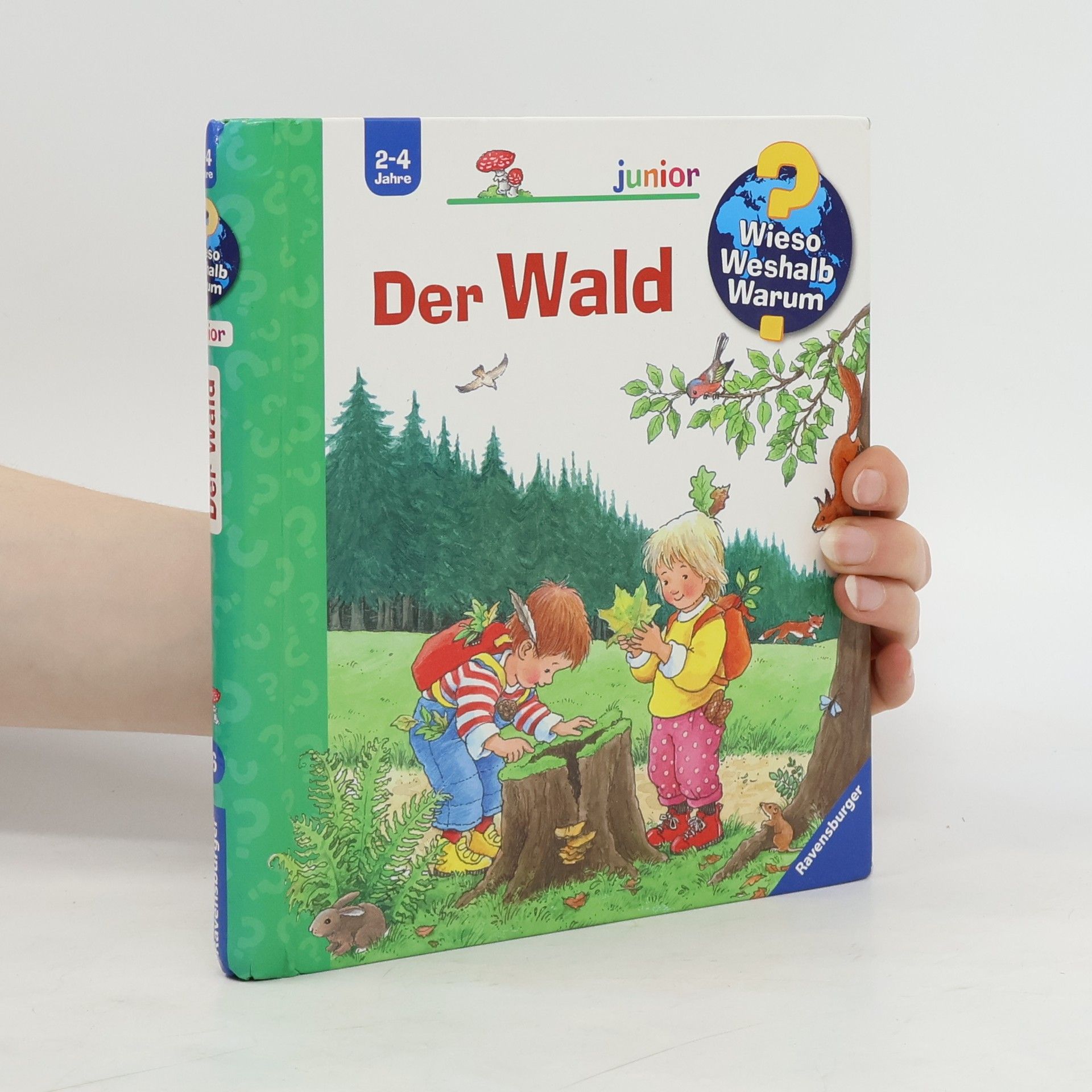Autorenkollektiv Der Wald