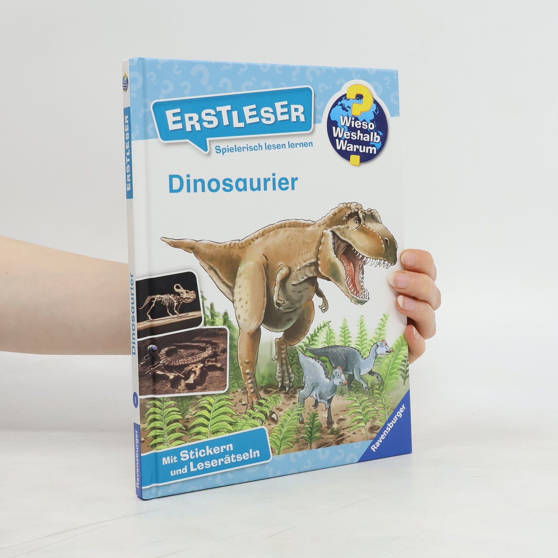 Collective Dinosaurier