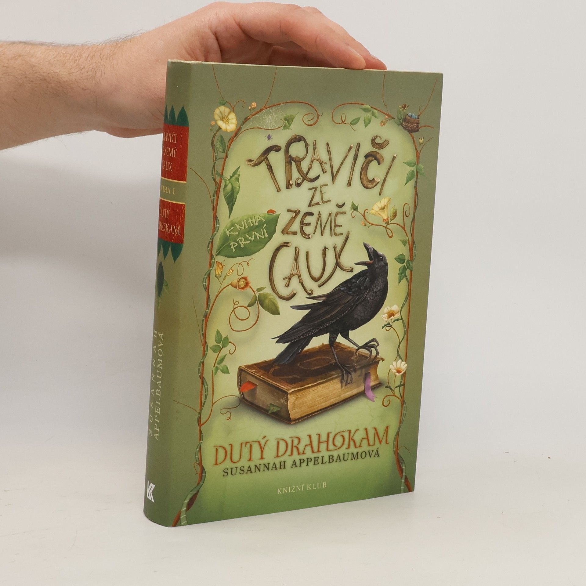 Susannah Appelbaum Traviči ze země Caux. Kniha první, Dutý drahokam