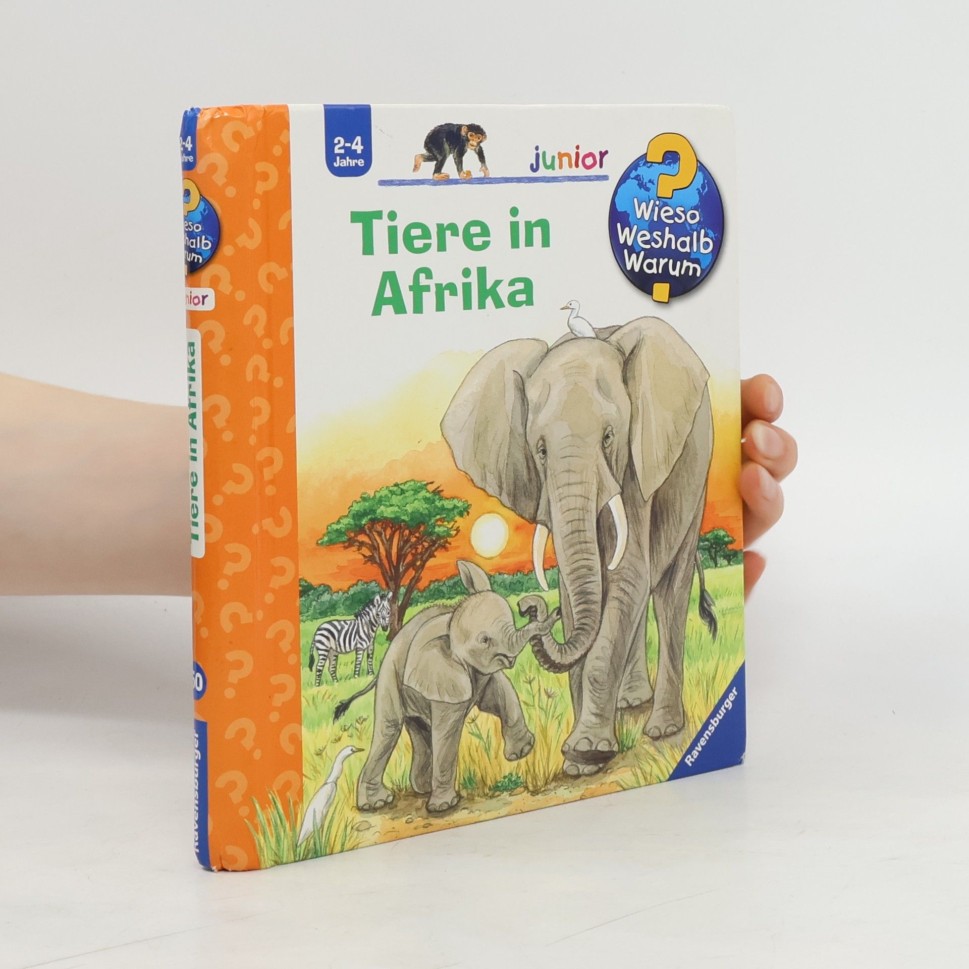 Ursula Weller Tiere in Afrika