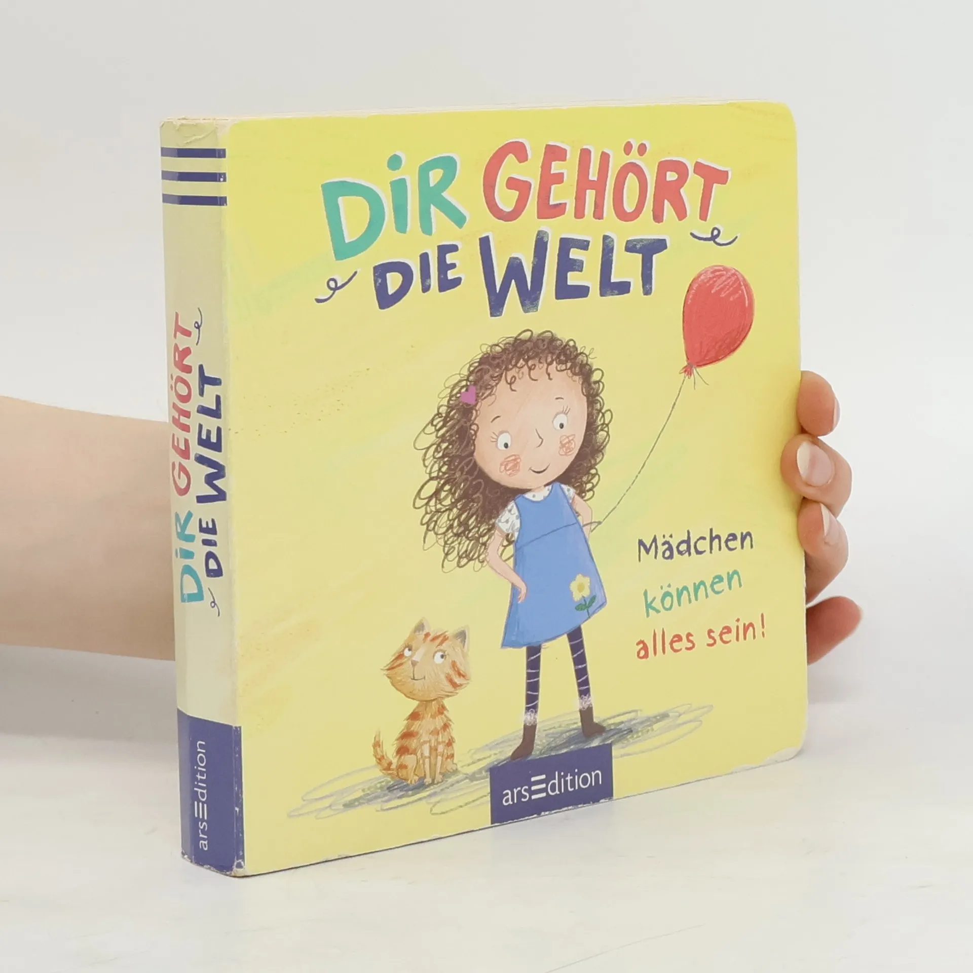 Dir gehört die Welt | Buch | Anna Taube