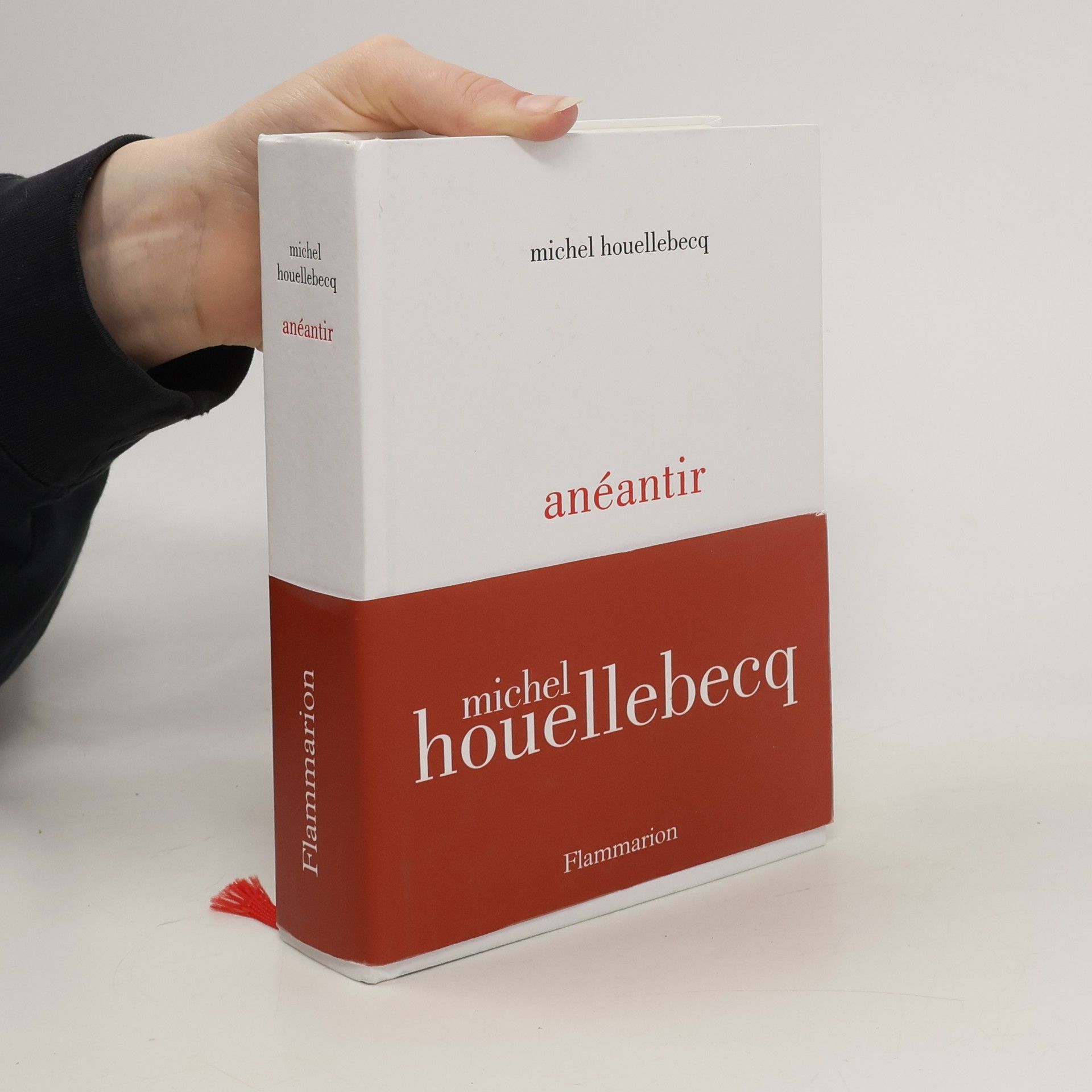 Michel Houellebecq Anéantir