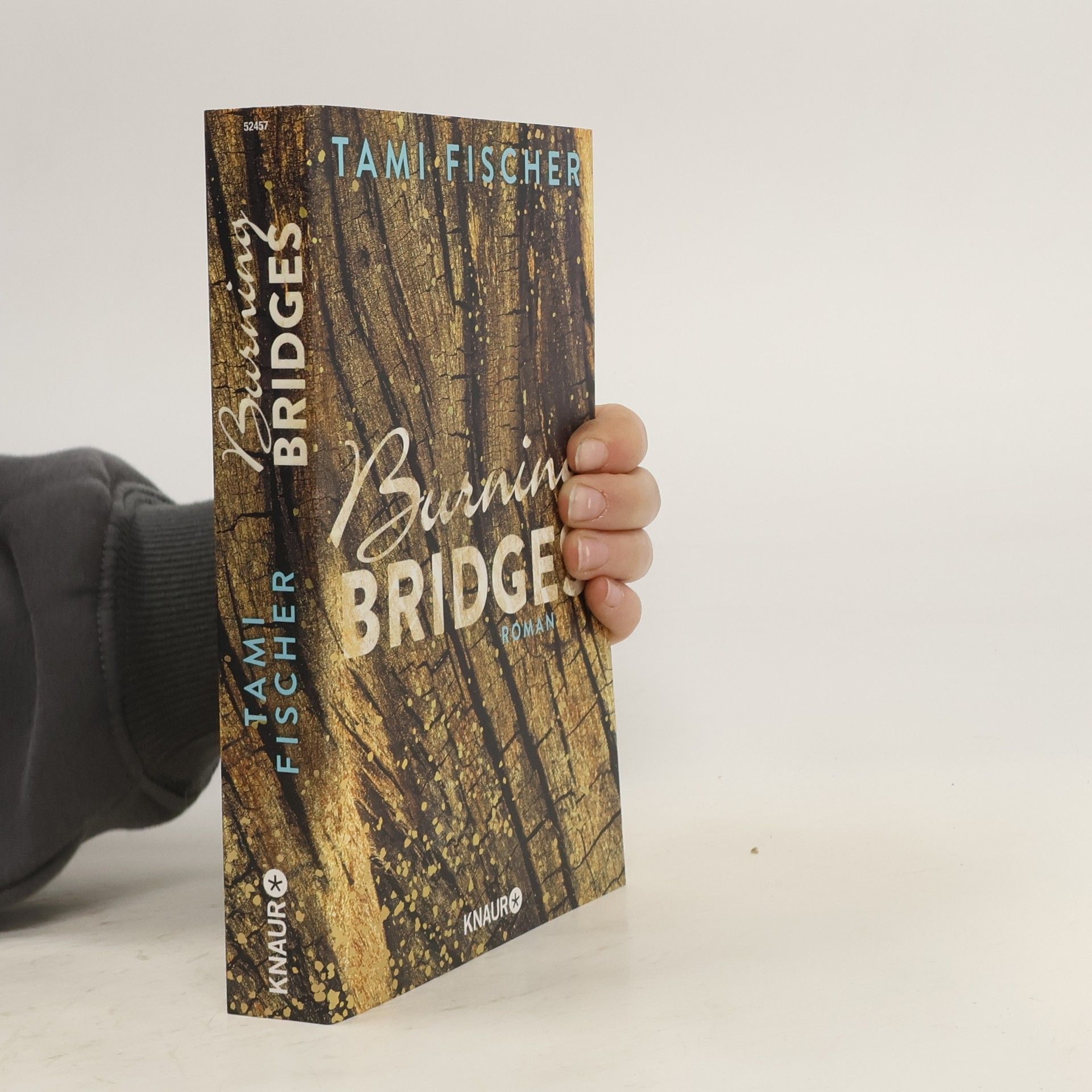 Tami Fischer Burning bridges