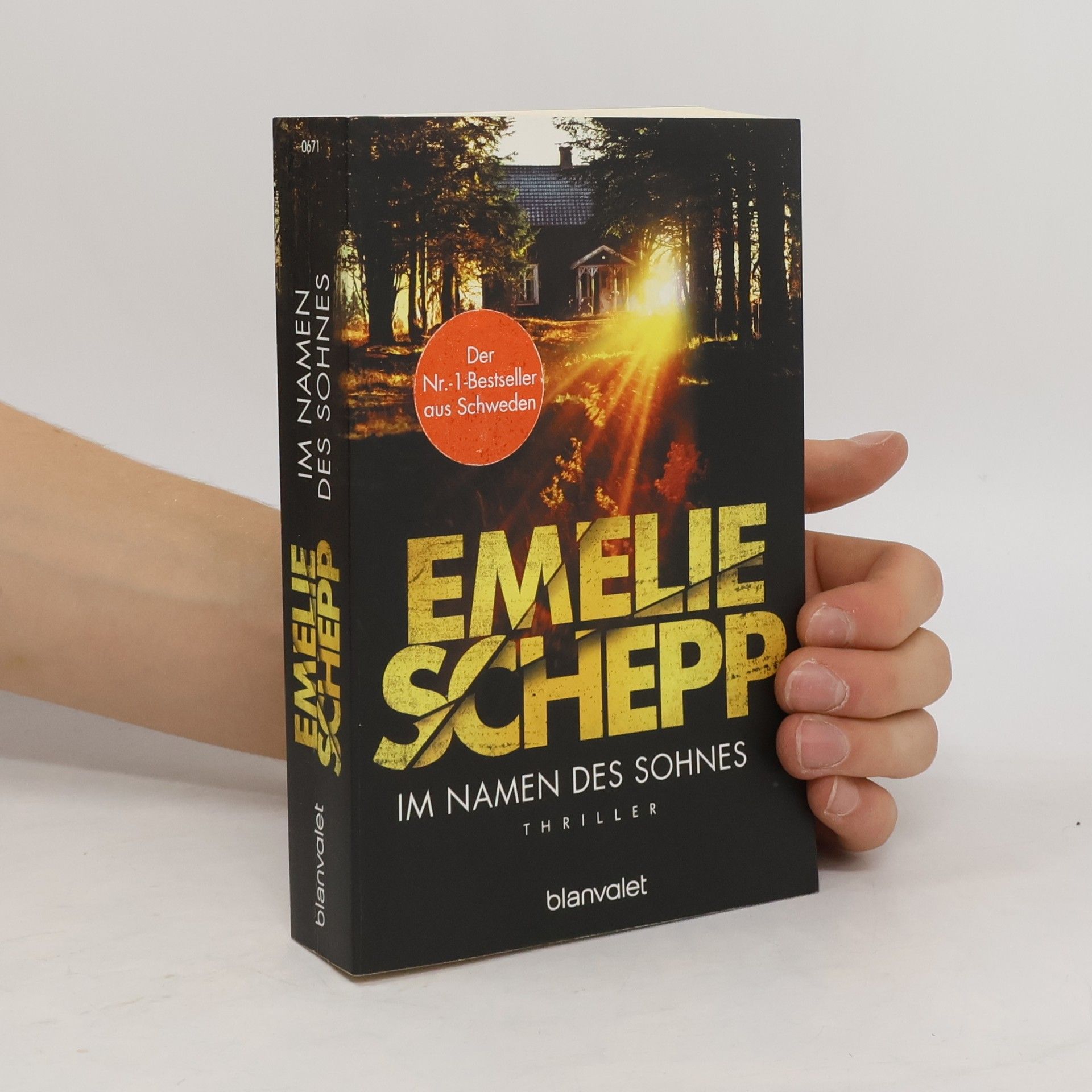 Emelie Schepp Im Namen des Sohnes