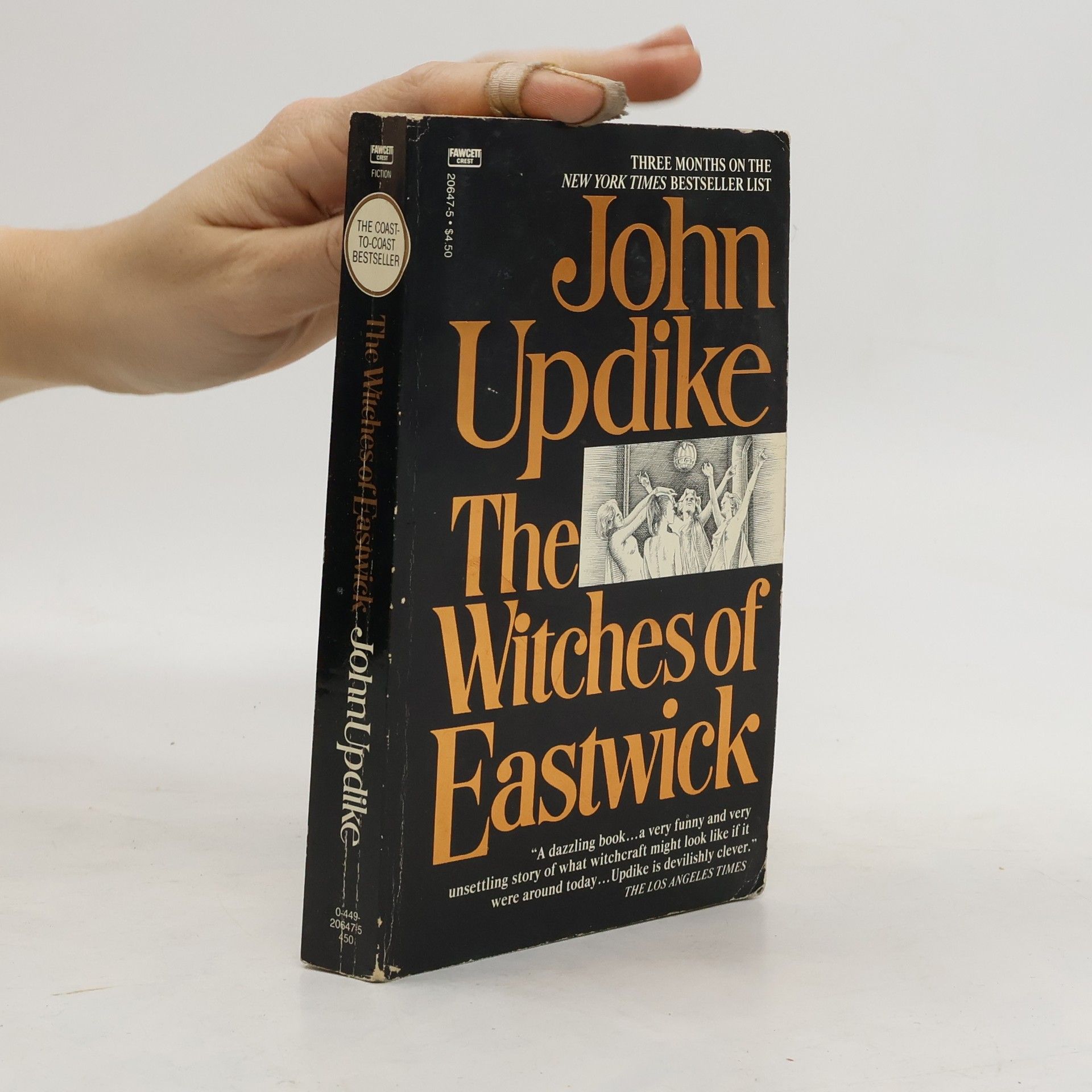 John Updike The Witches of Eastwick