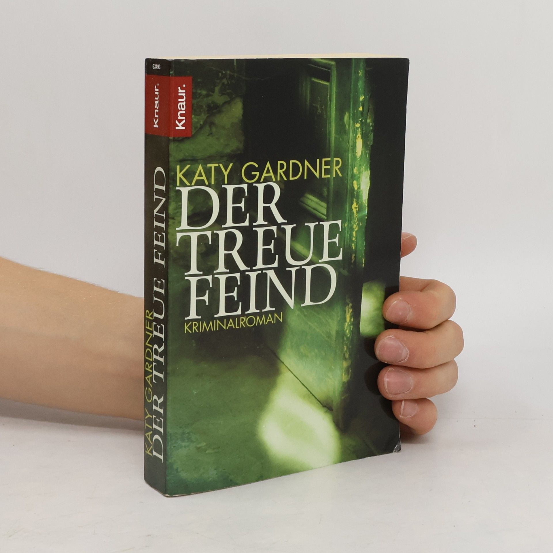 Katy Gardner Der treue Feind