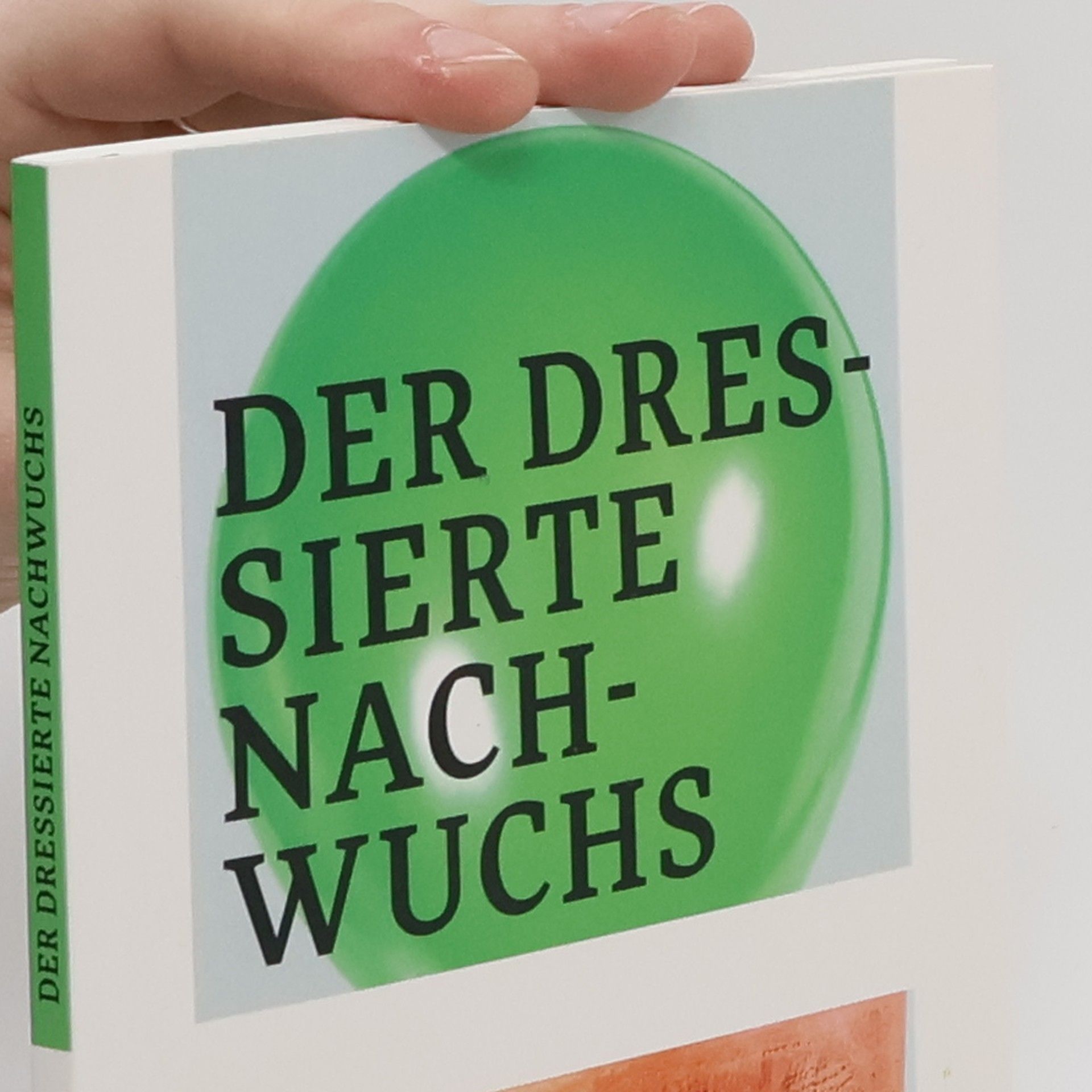 Patrik Baab Propaganda-Presse
