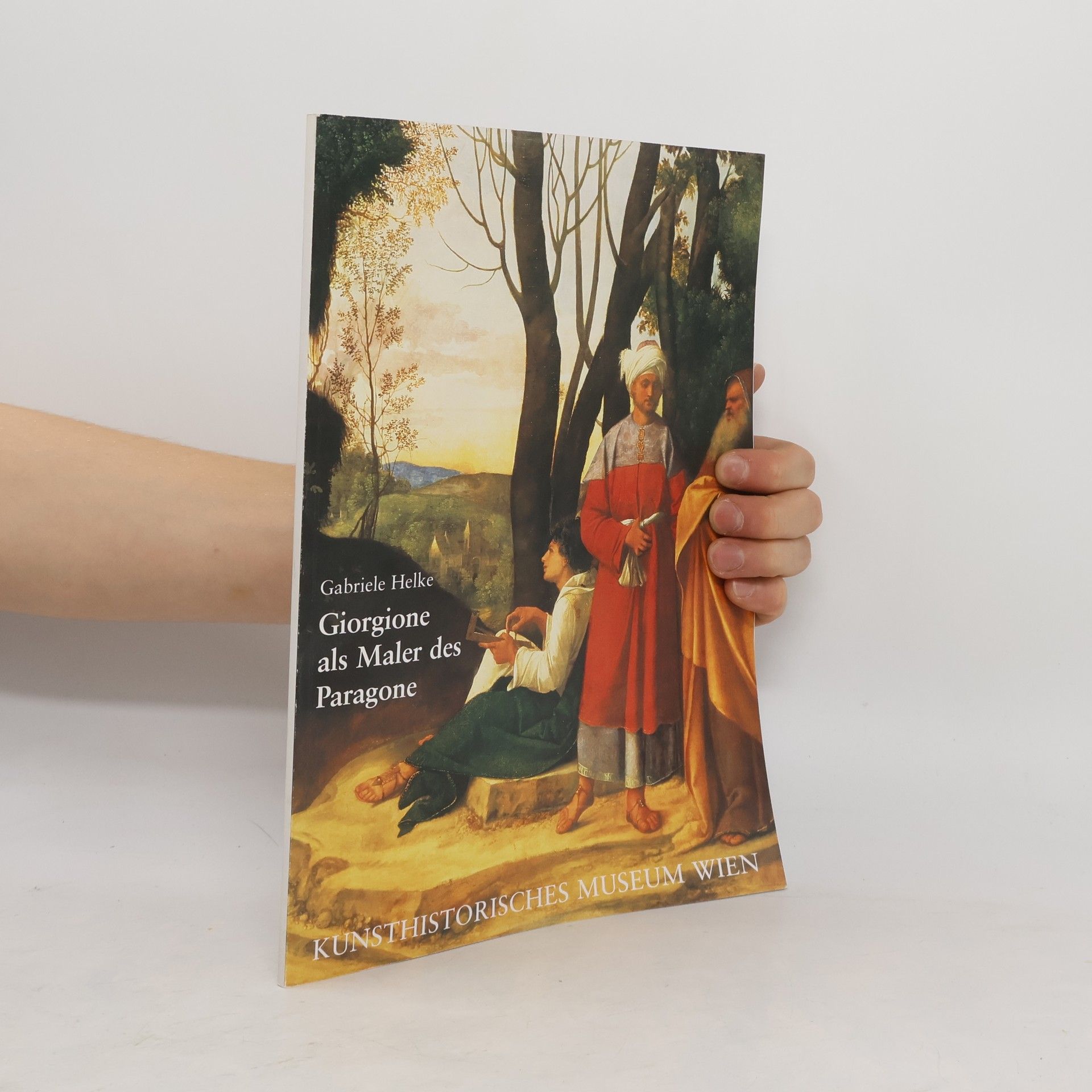 kolektiv Giorgione als Maler des Paragone