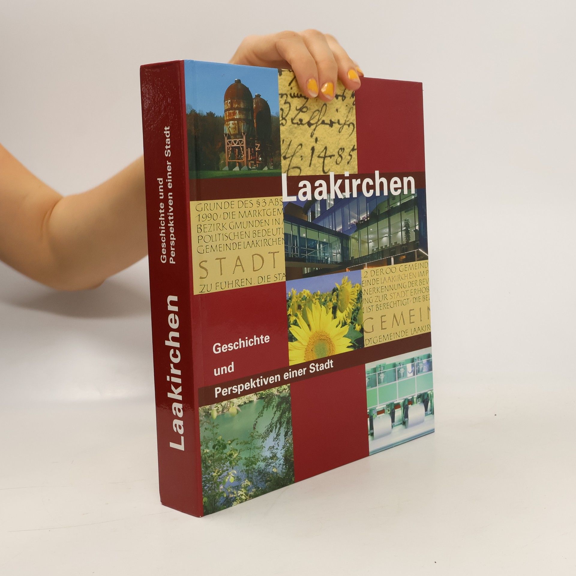 Collectif d'auteurs Laakirchen, Geschichte und Perspektiven einer Stadt