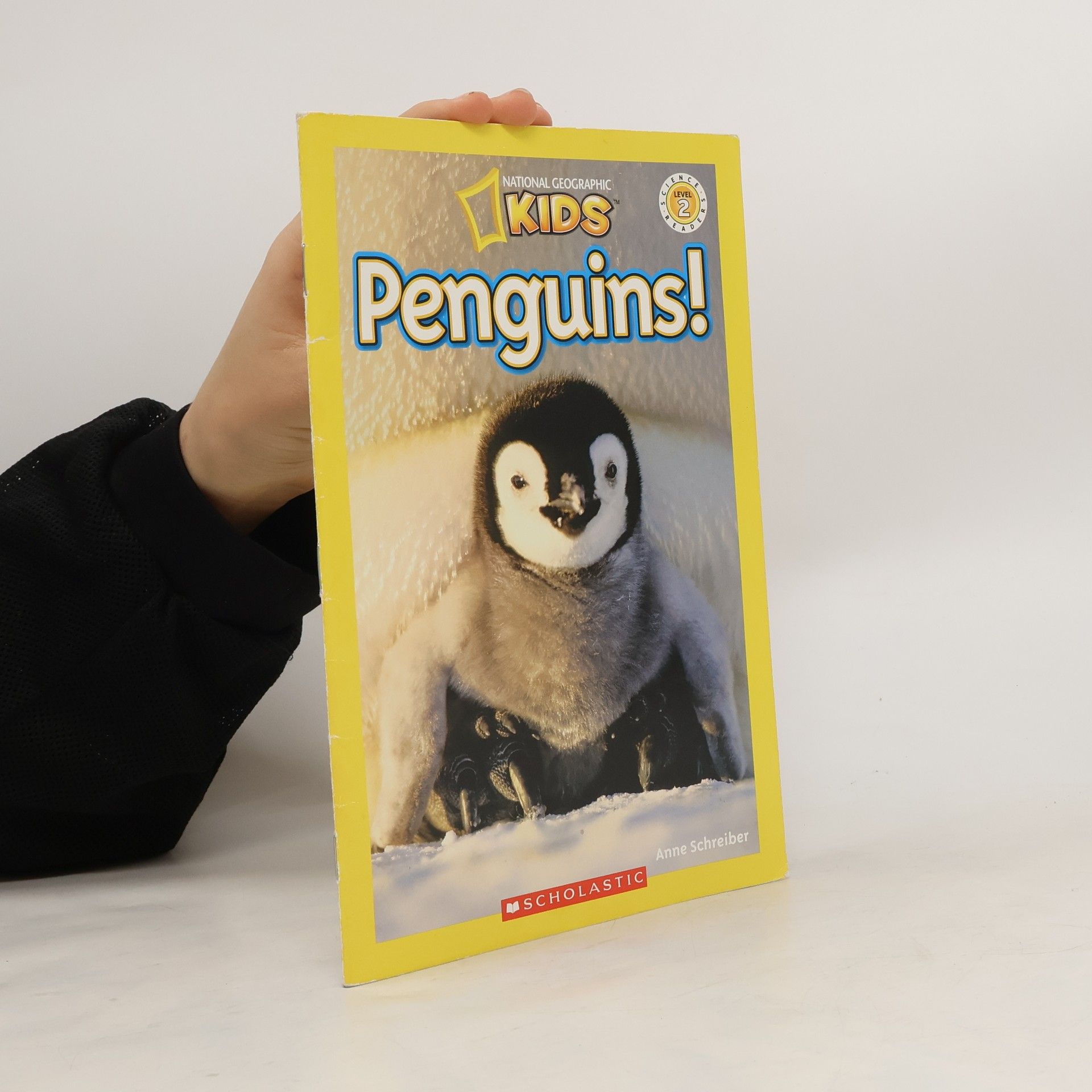 Anne Schreiber Penguins!