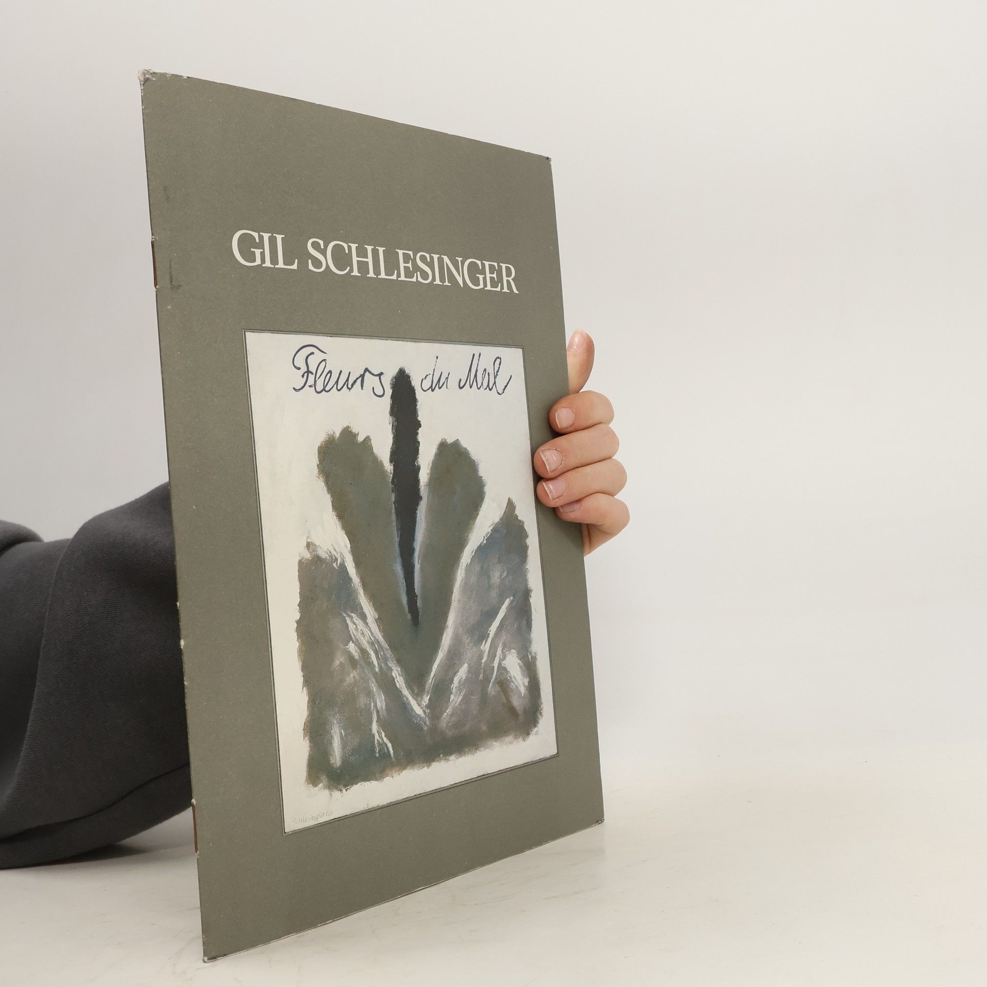 Gil Schlesinger Gil Schlesinger