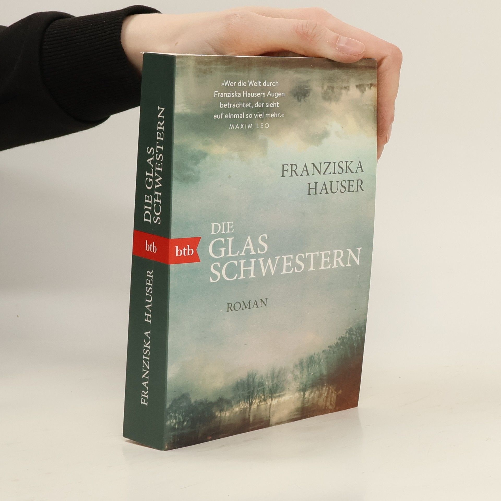Franziska Hauser Die Glasschwestern