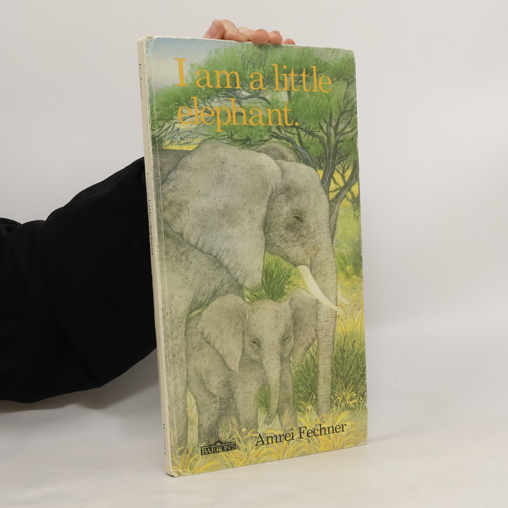 Amrei Fechner I am a little elephant